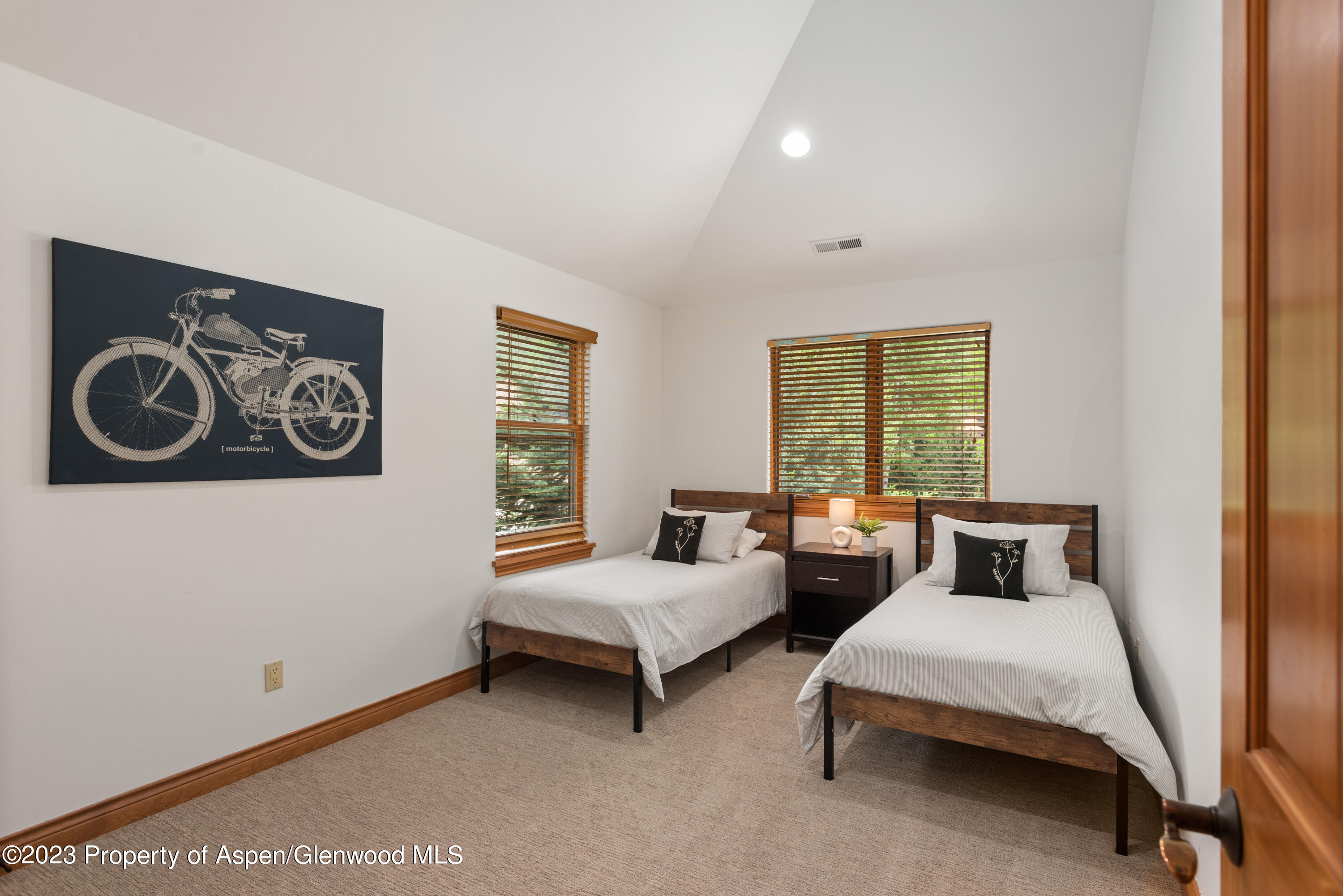 316 Allison Lane Basalt CO 81621