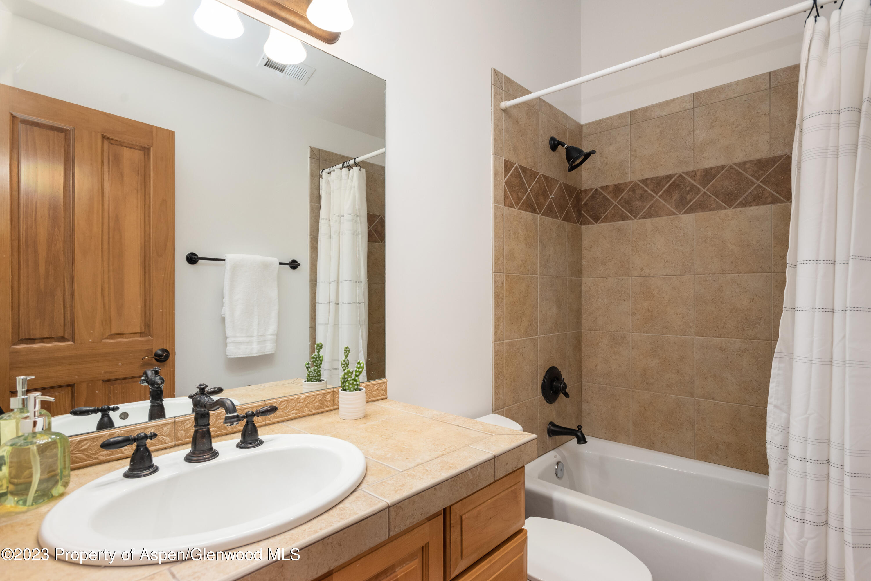 316 Allison Lane Basalt CO 81621