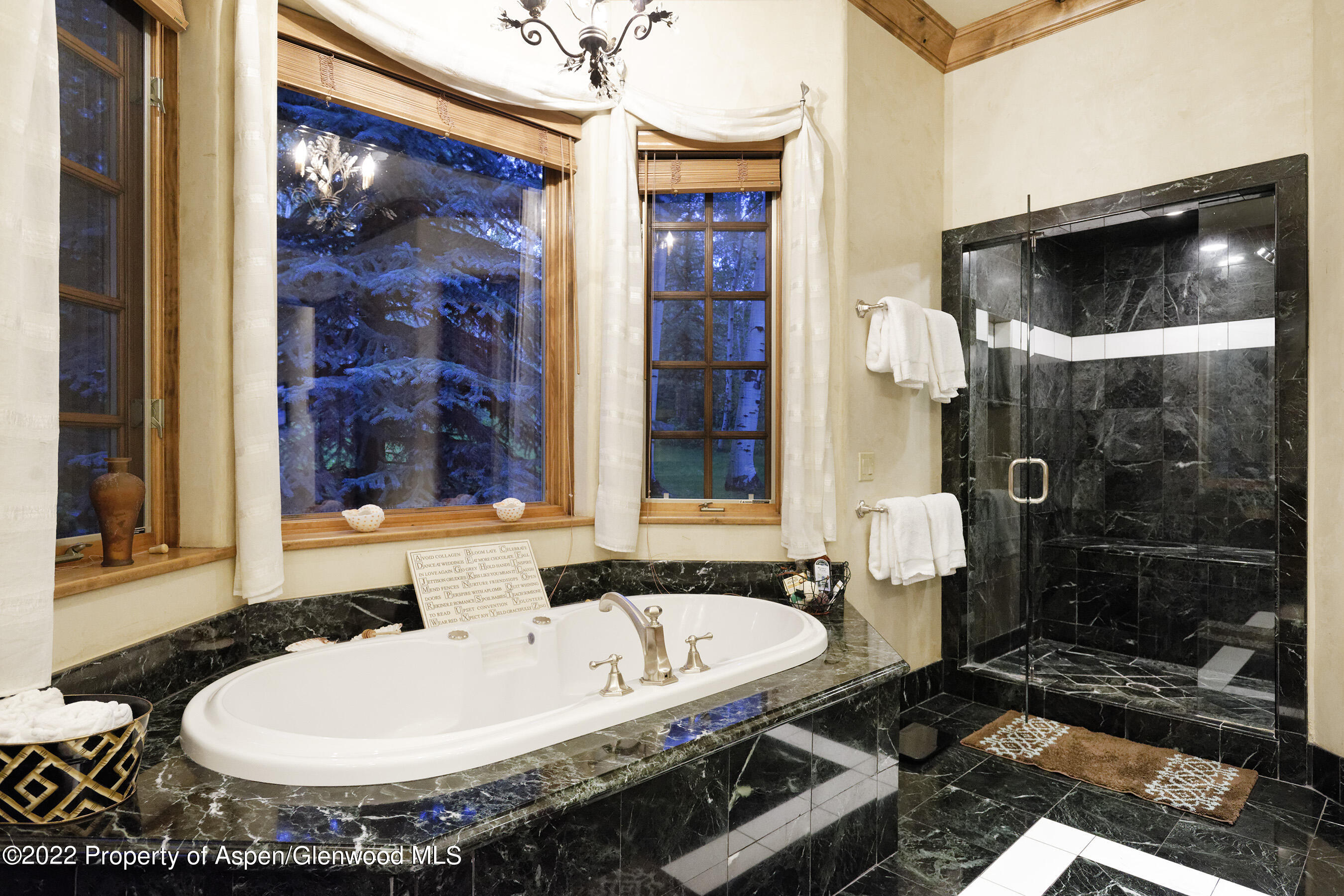 171 Cascade Lane Aspen CO 81611