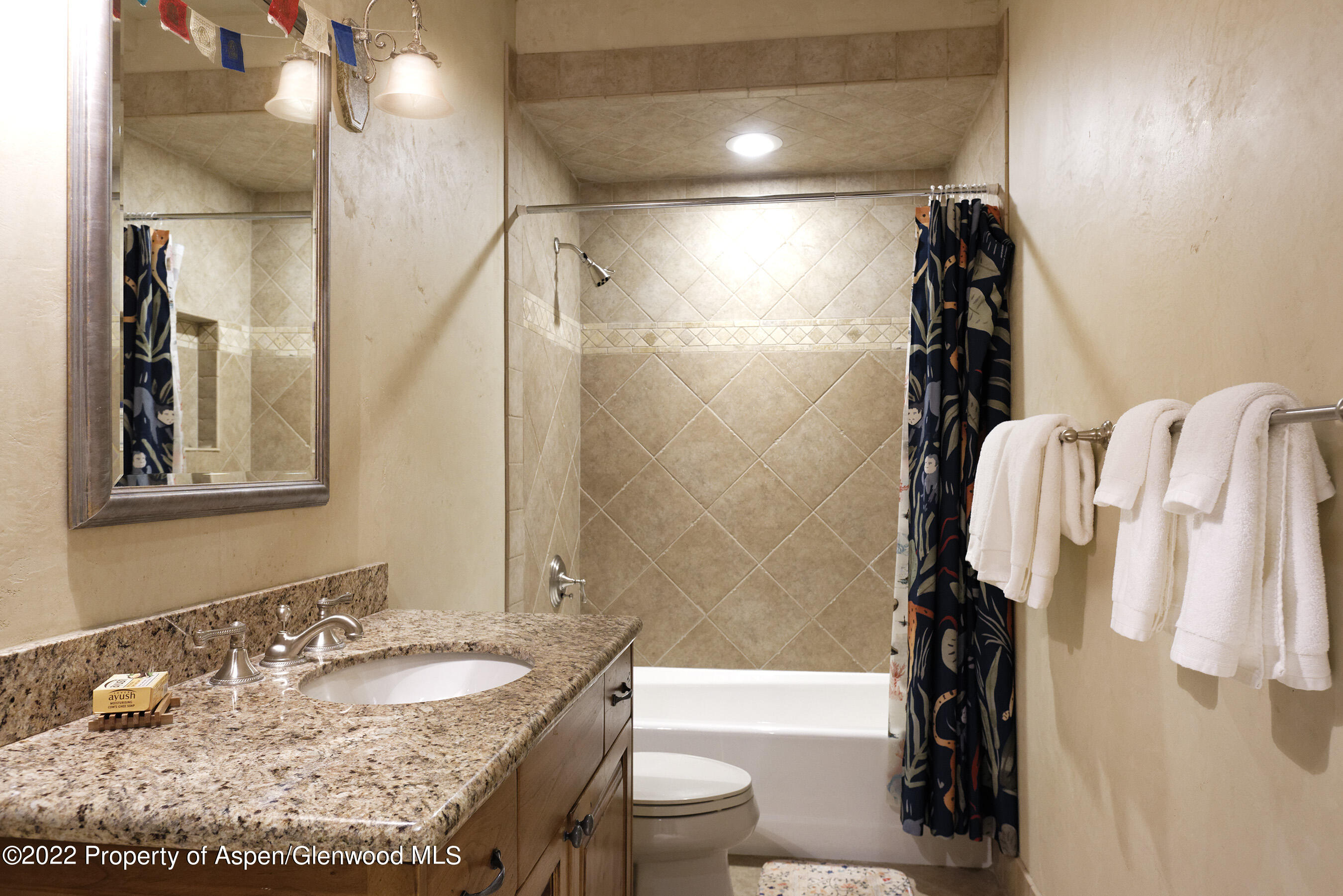 171 Cascade Lane Aspen CO 81611