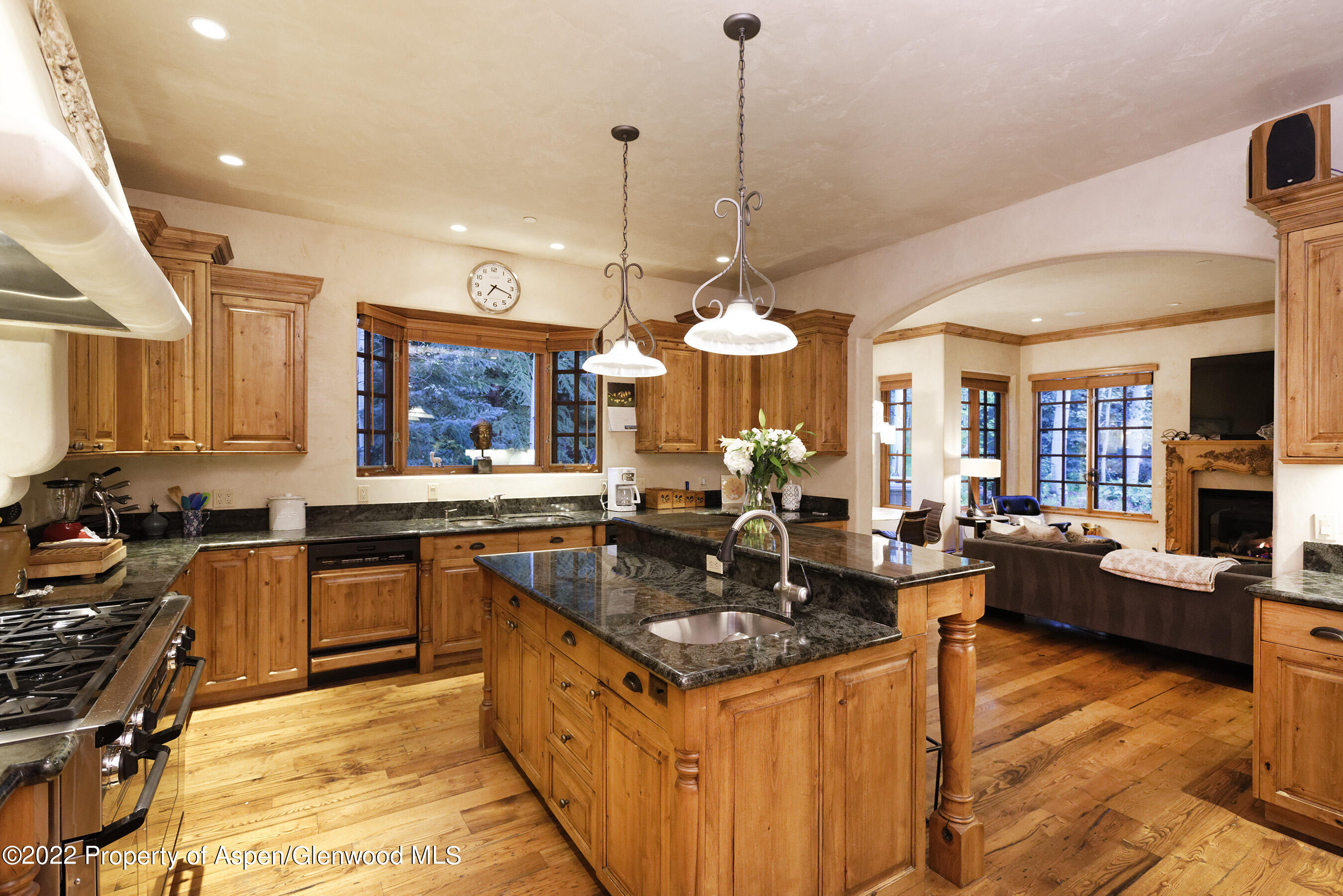 171 Cascade Lane Aspen CO 81611