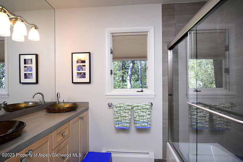 309 Mountain Laurel Drive Aspen CO 81611