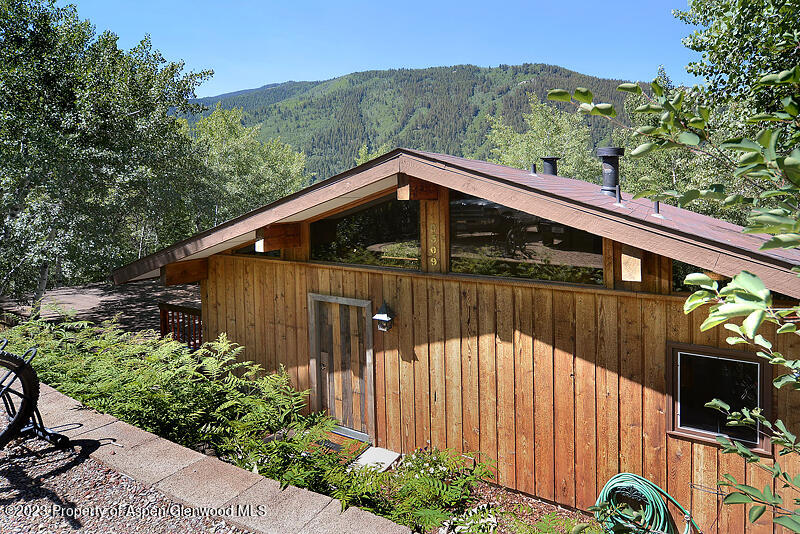 309 Mountain Laurel Drive Aspen CO 81611