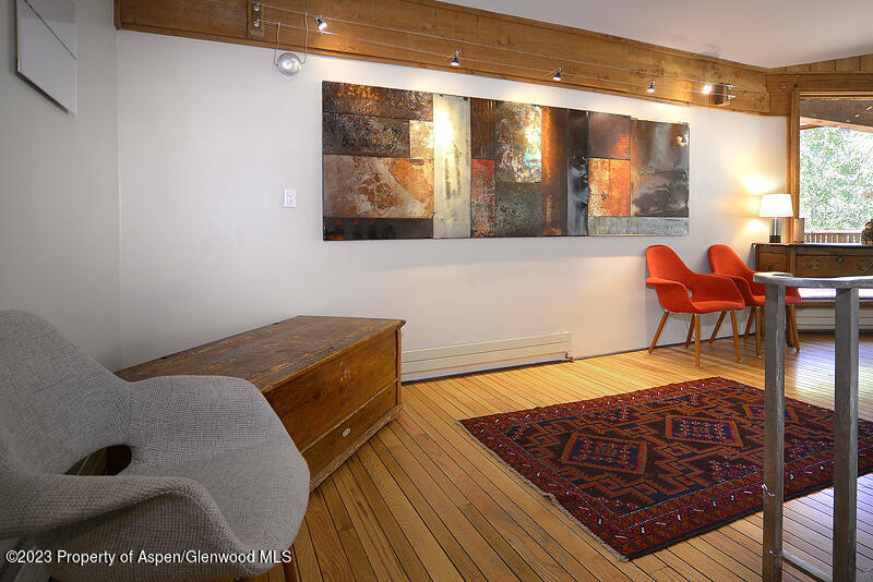 309 Mountain Laurel Drive Aspen CO 81611