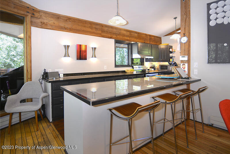 309 Mountain Laurel Drive Aspen CO 81611