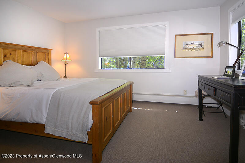 309 Mountain Laurel Drive Aspen CO 81611