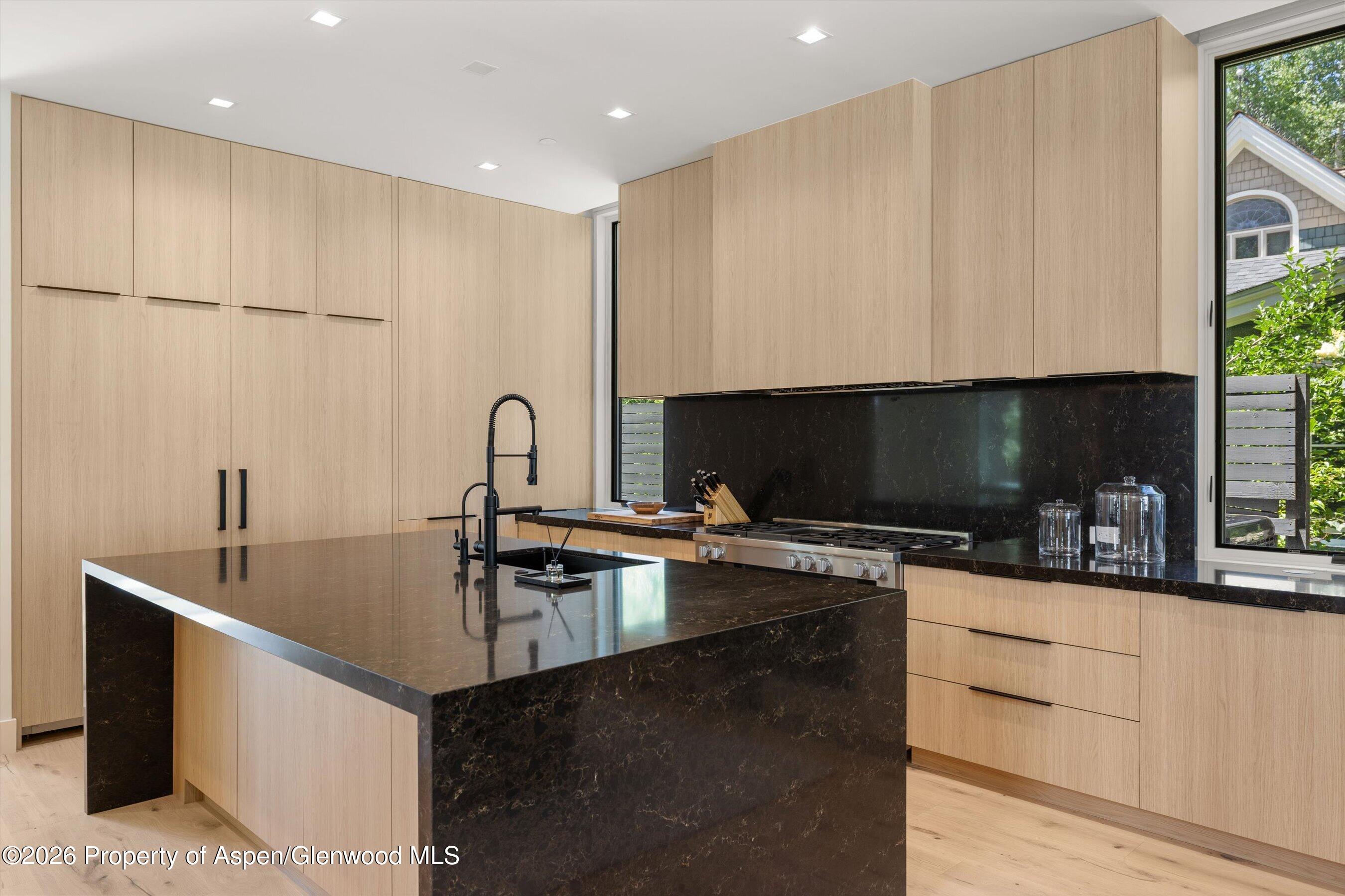 219 W Bleeker Street Aspen CO 81611