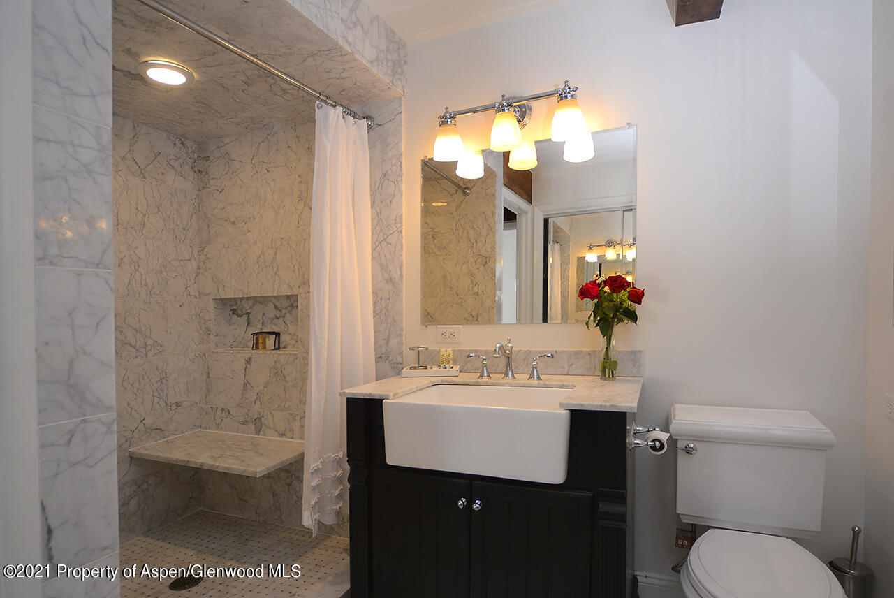 1024 E Cooper Avenue Aspen CO 81611