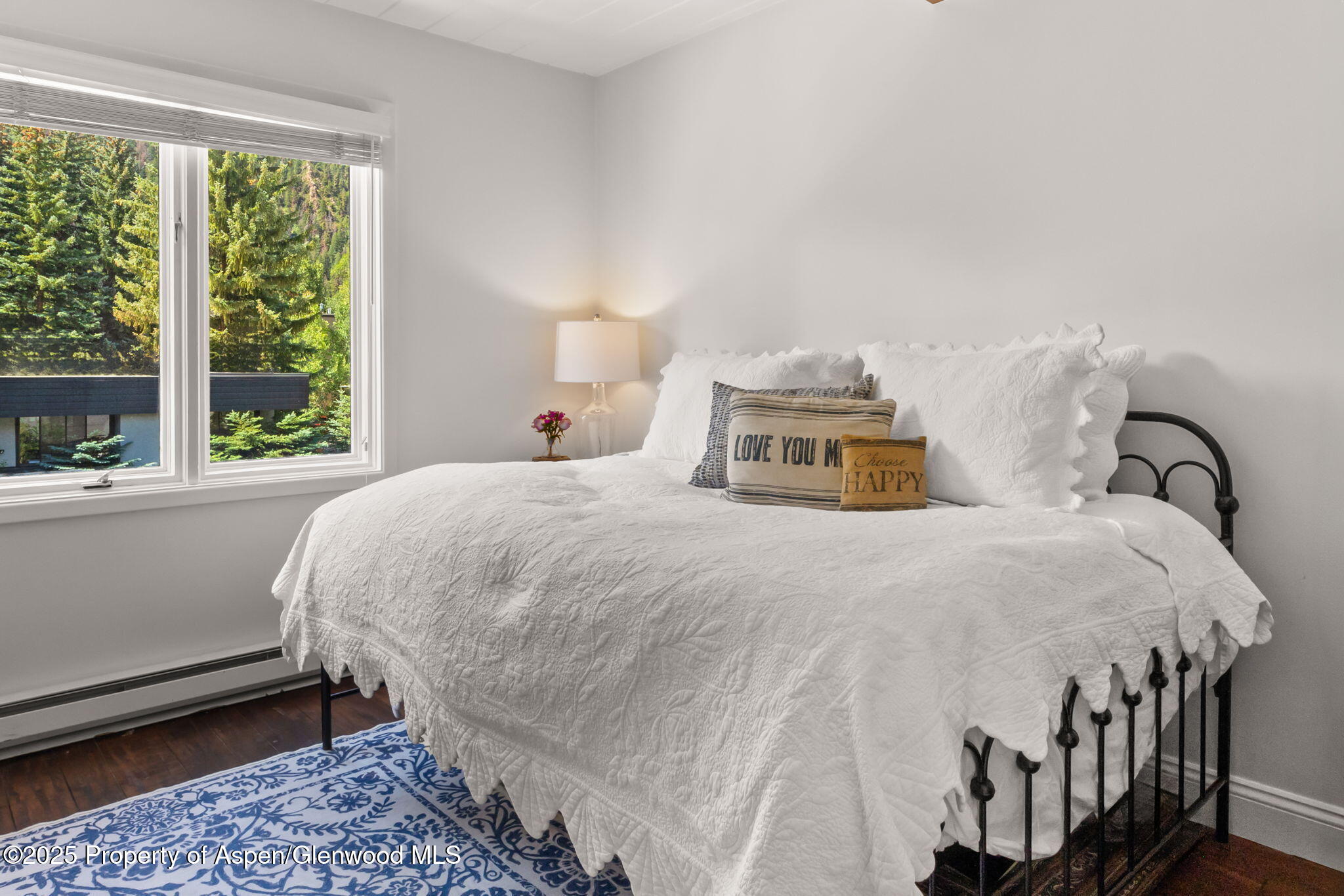1024 E Cooper Avenue Aspen CO 81611