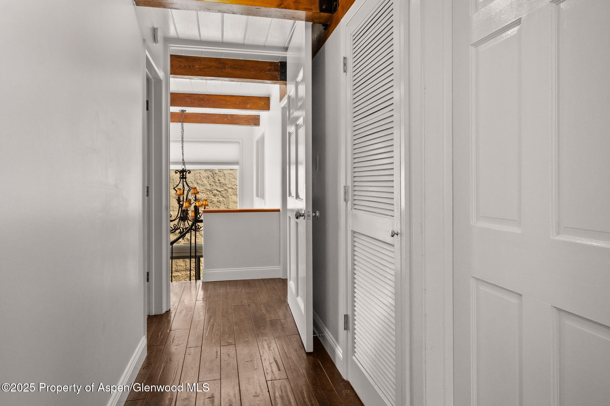 1024 E Cooper Avenue Aspen CO 81611
