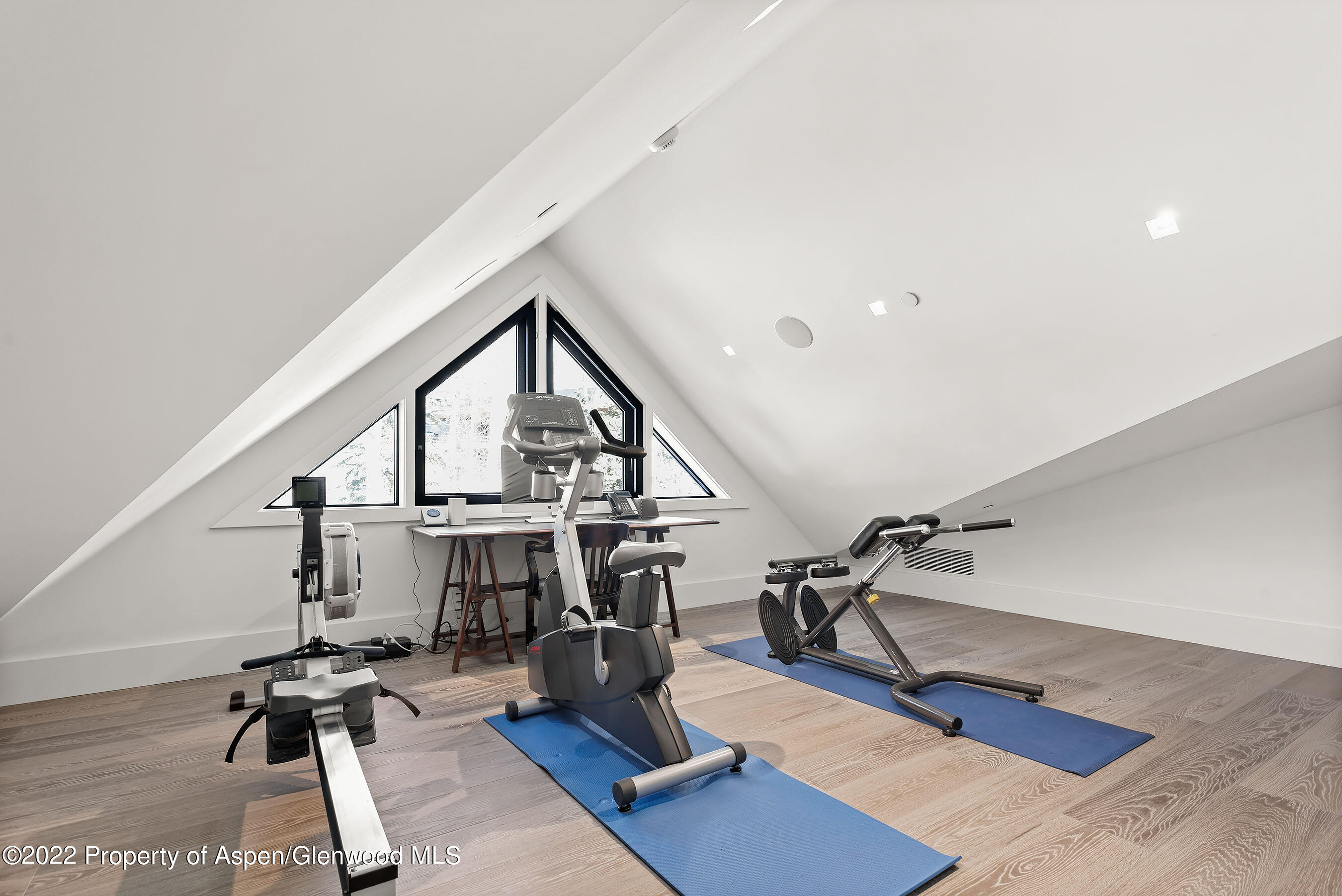 257 Ridge Road Aspen CO 81611