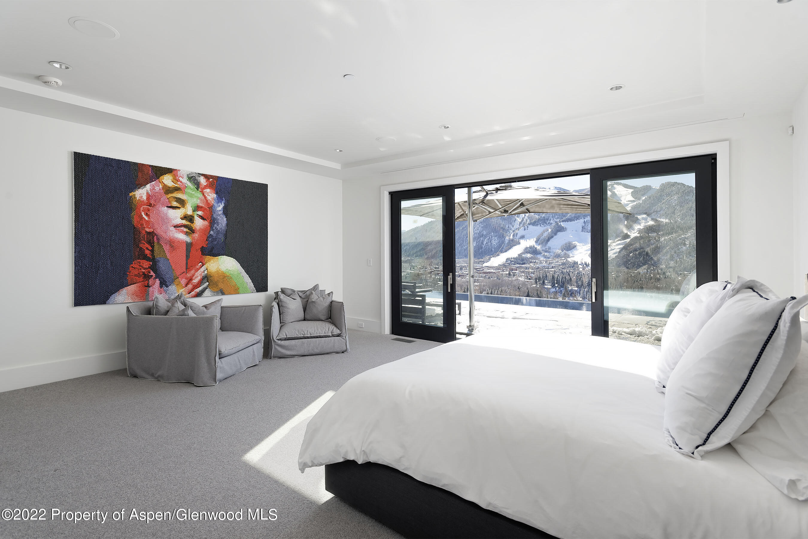 257 Ridge Road Aspen CO 81611