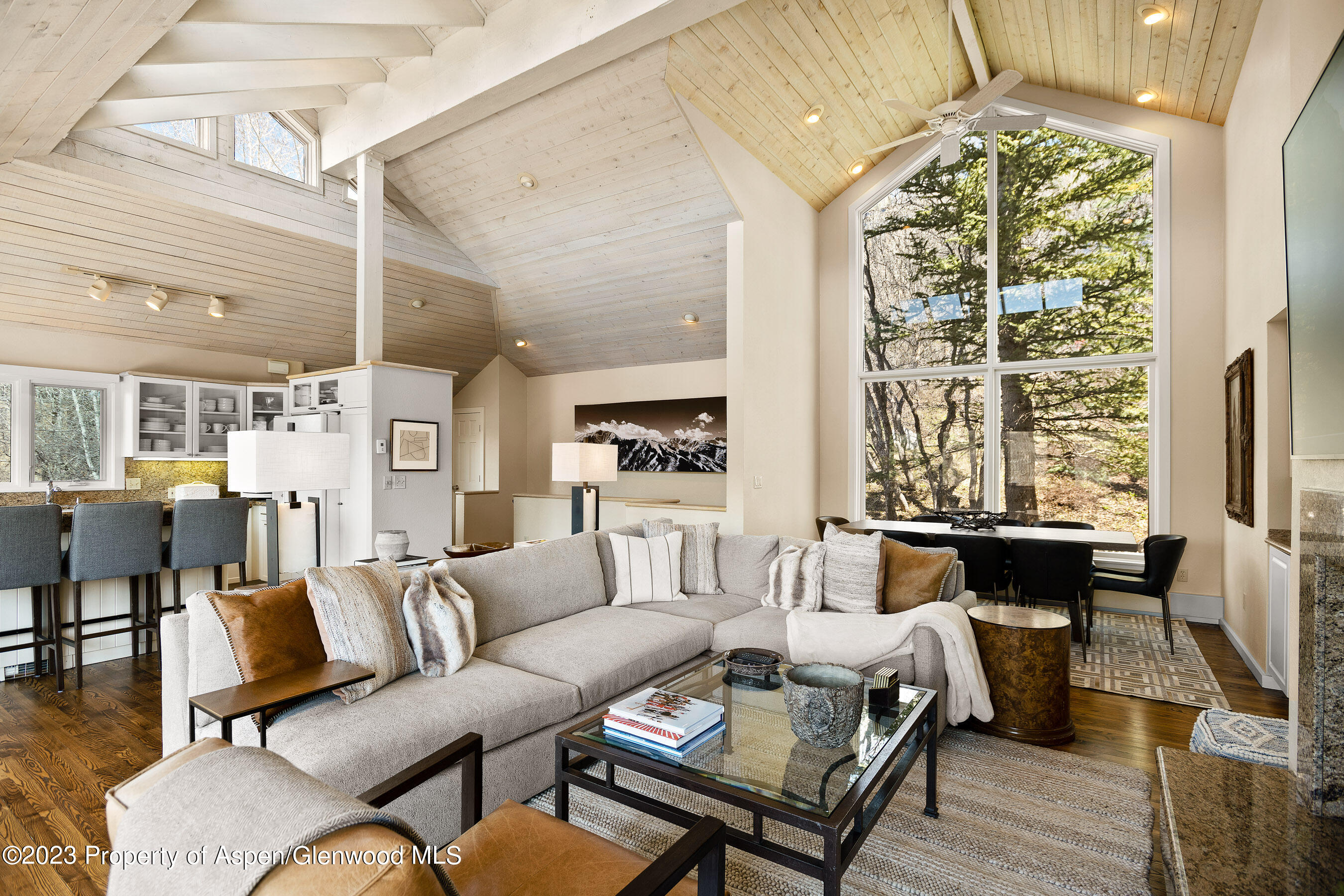 42 Nighthawk Drive Aspen CO 81611