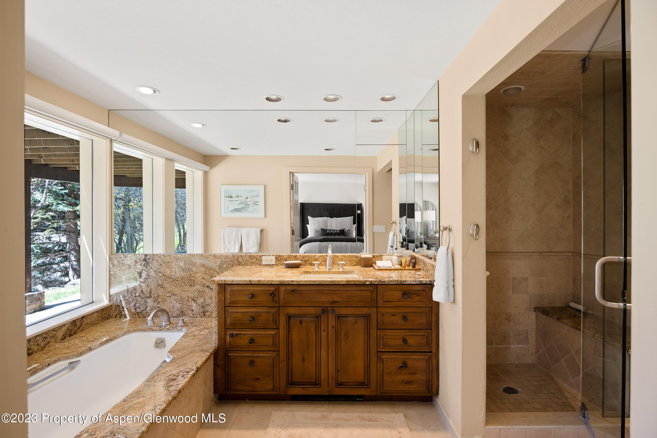 42 Nighthawk Drive Aspen CO 81611