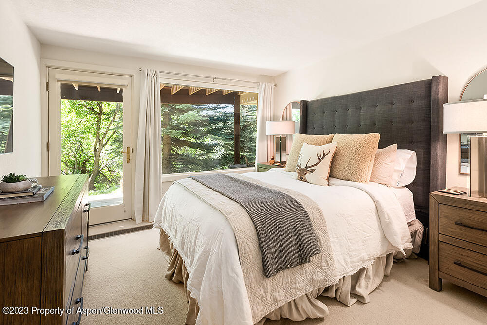 42 Nighthawk Drive Aspen CO 81611