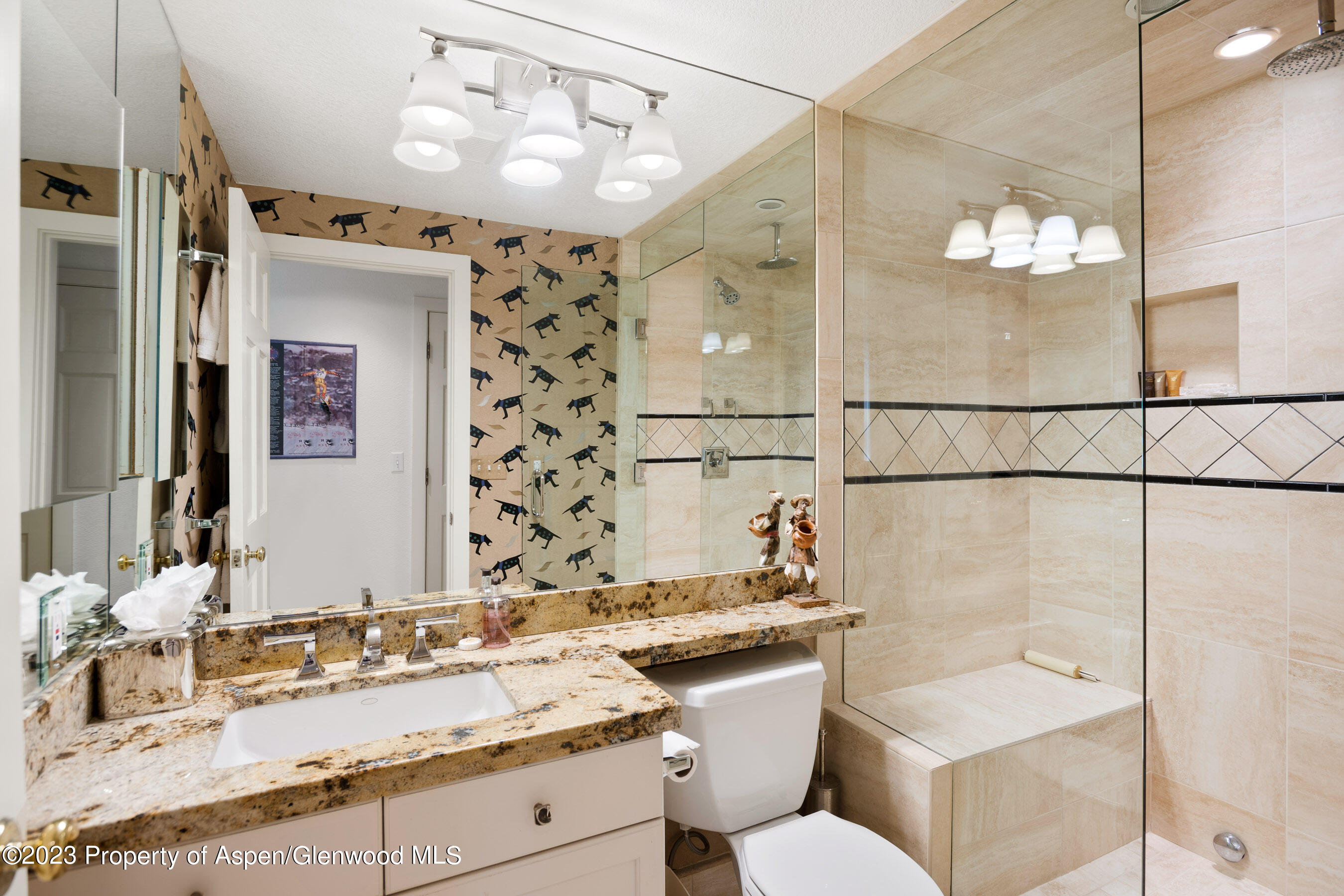 42 Nighthawk Drive Aspen CO 81611