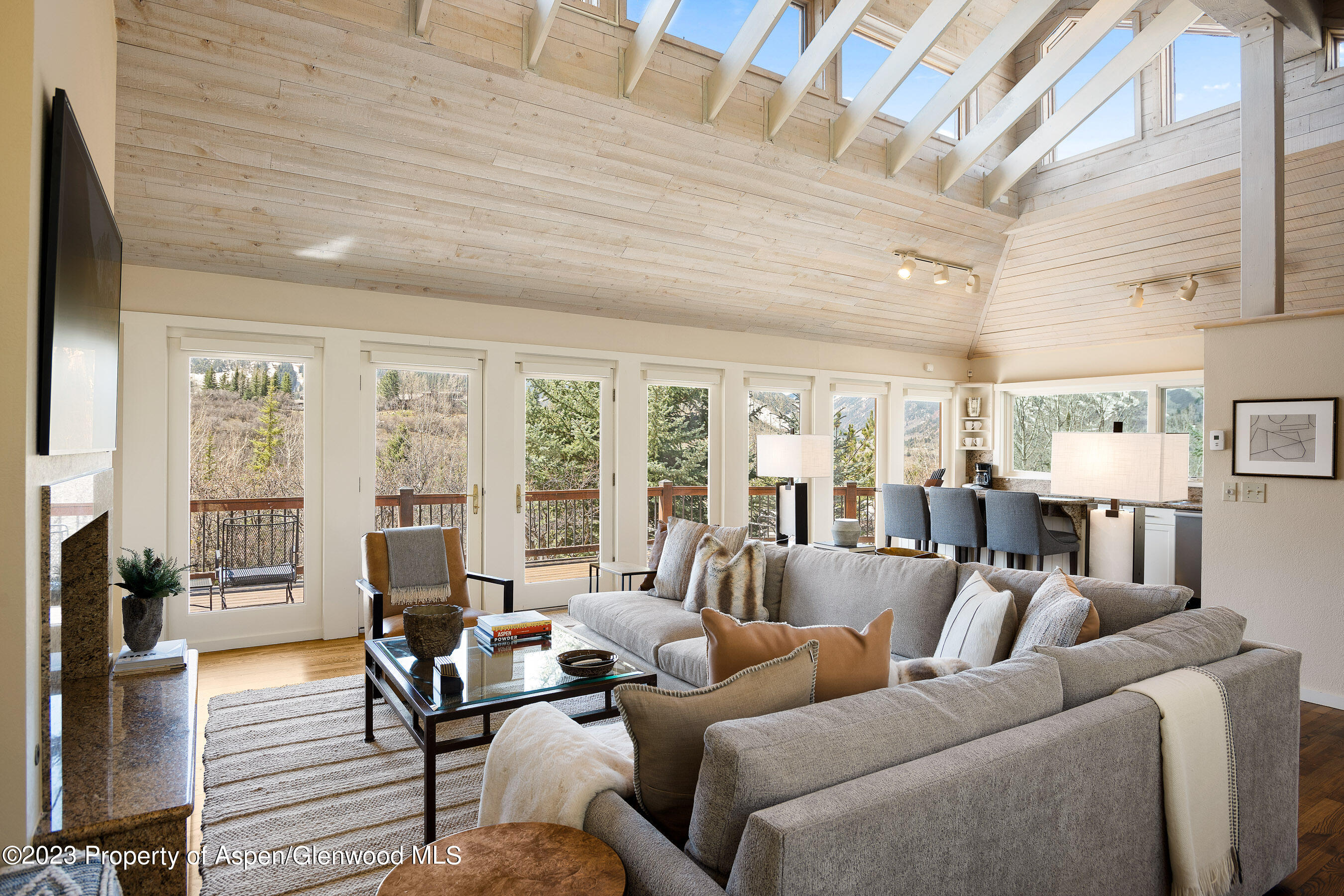 42 Nighthawk Drive Aspen CO 81611