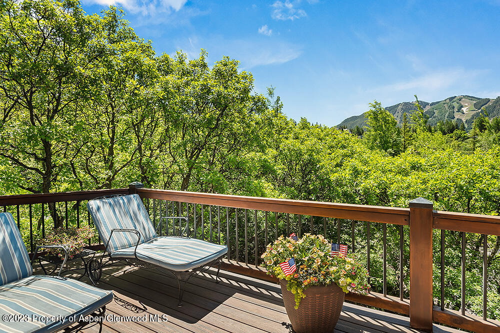 42 Nighthawk Drive Aspen CO 81611