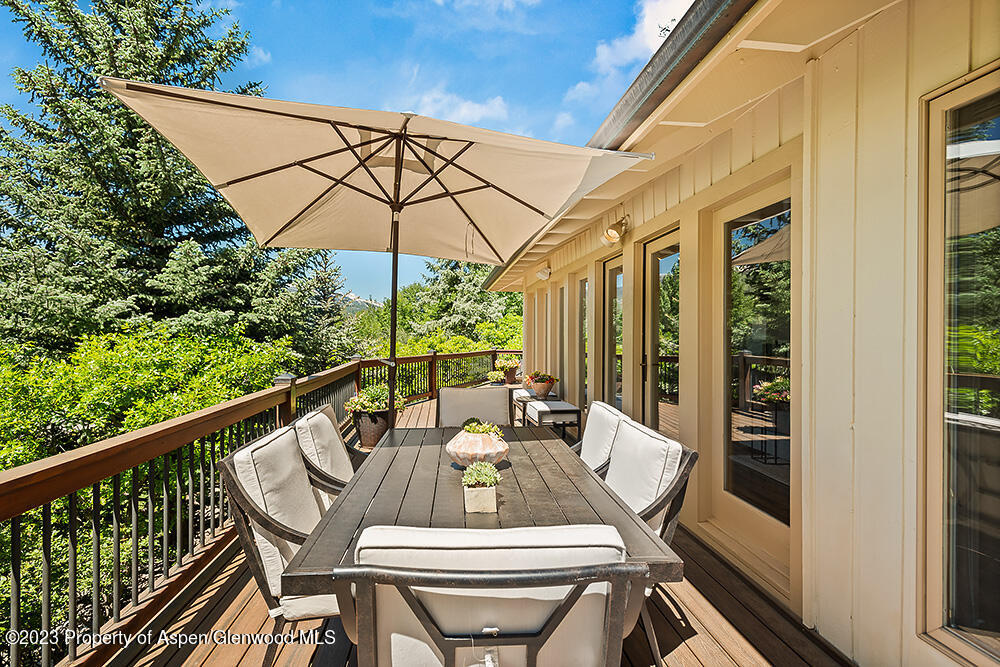 42 Nighthawk Drive Aspen CO 81611