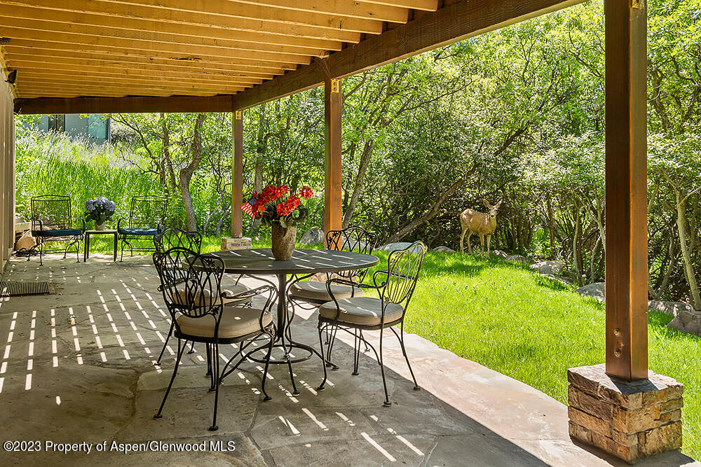 42 Nighthawk Drive Aspen CO 81611