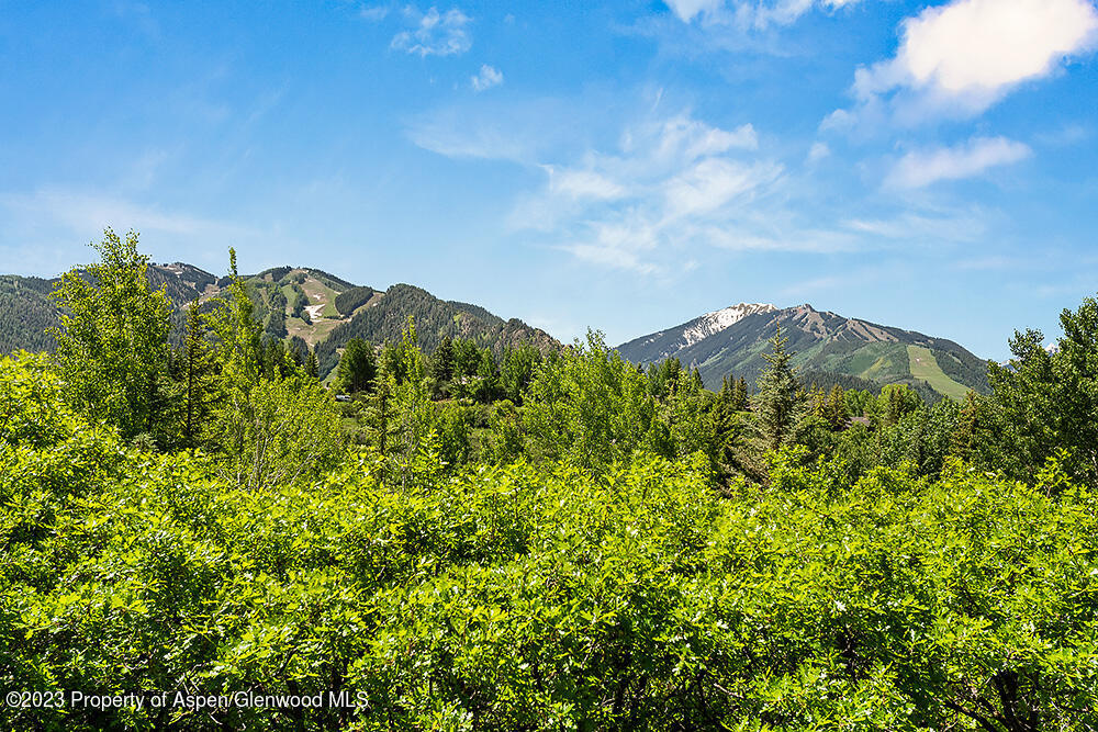 42 Nighthawk Drive Aspen CO 81611