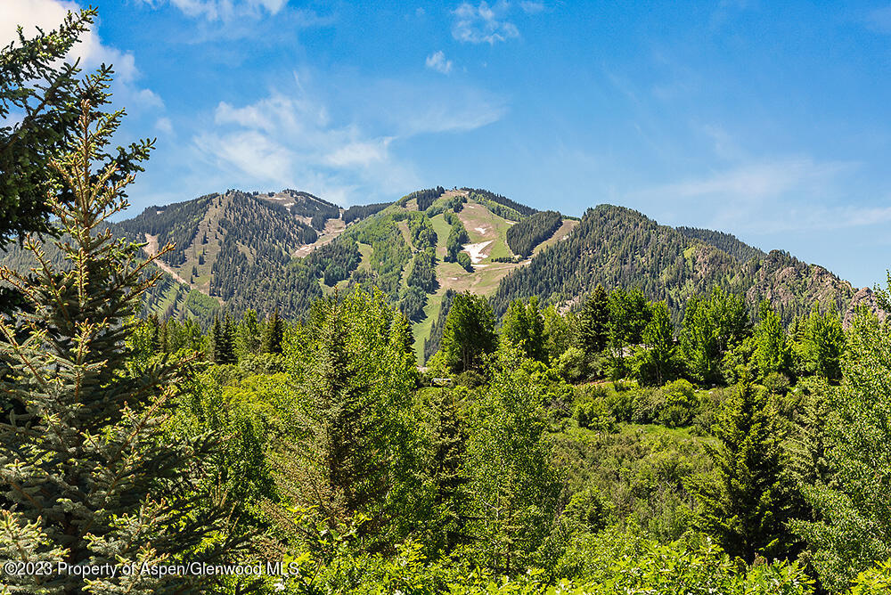 42 Nighthawk Drive Aspen CO 81611