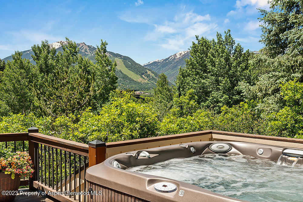 42 Nighthawk Drive Aspen CO 81611