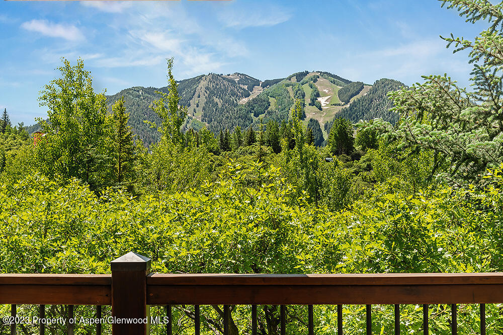 42 Nighthawk Drive Aspen CO 81611