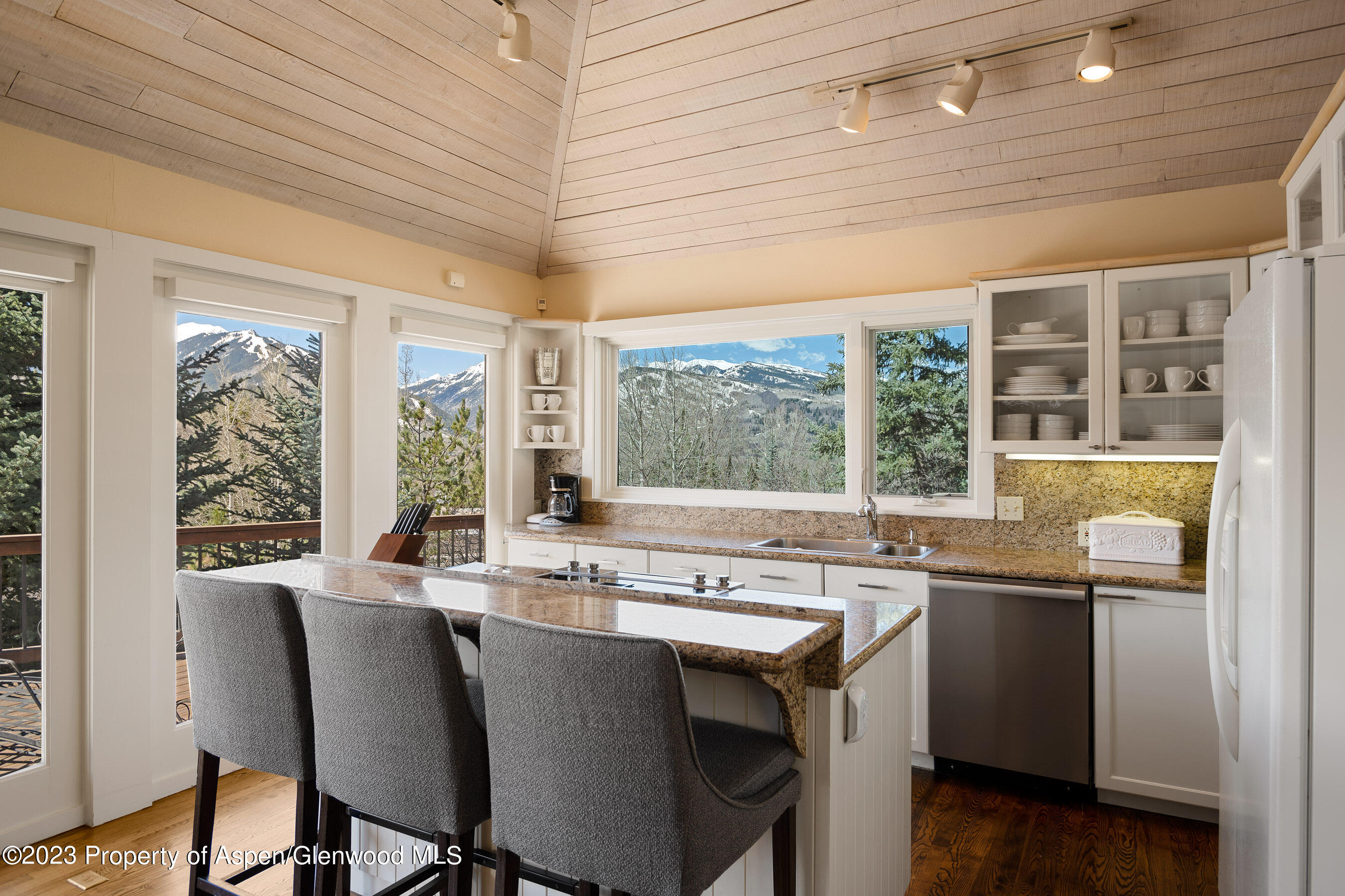 42 Nighthawk Drive Aspen CO 81611