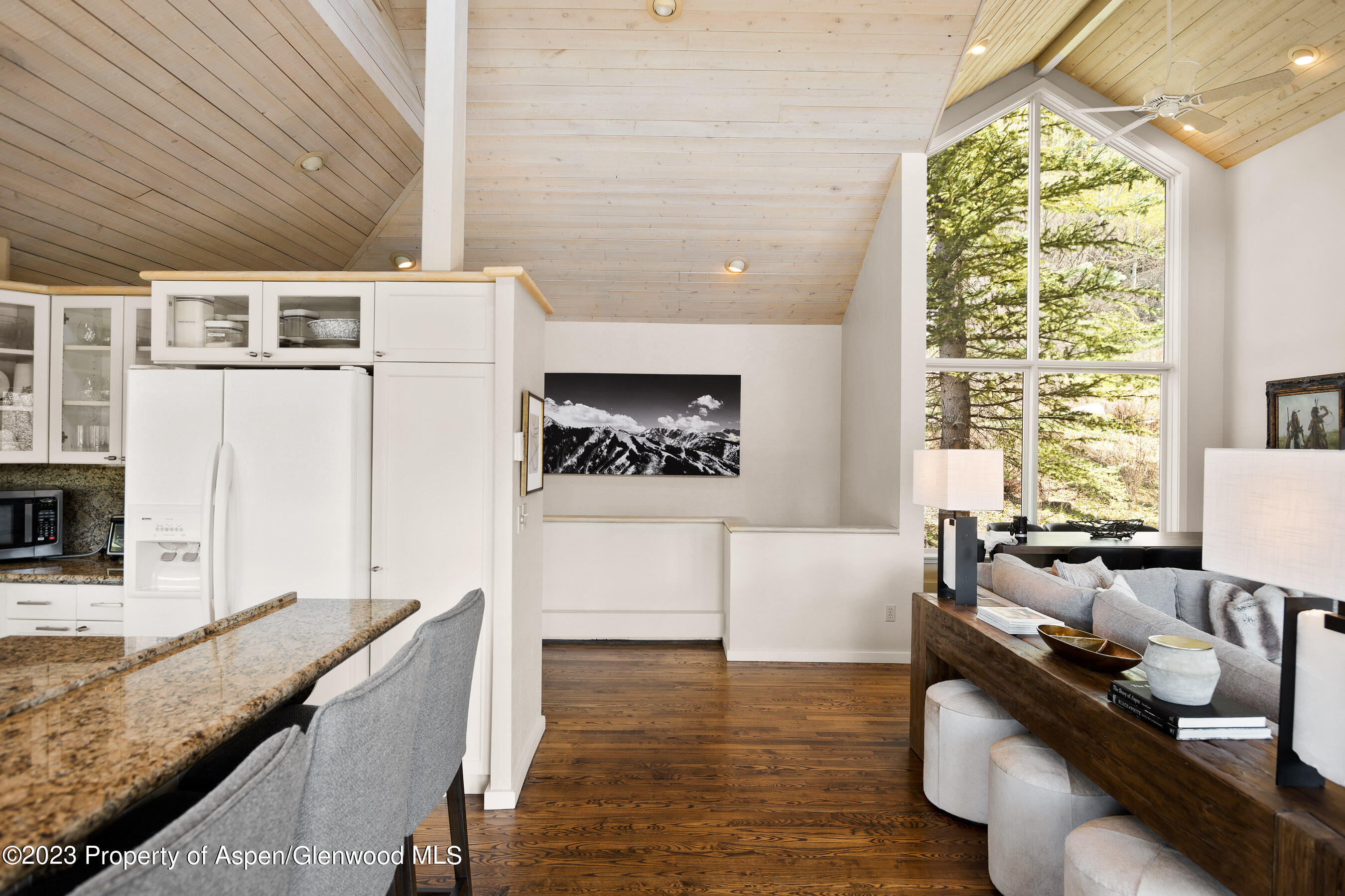 42 Nighthawk Drive Aspen CO 81611