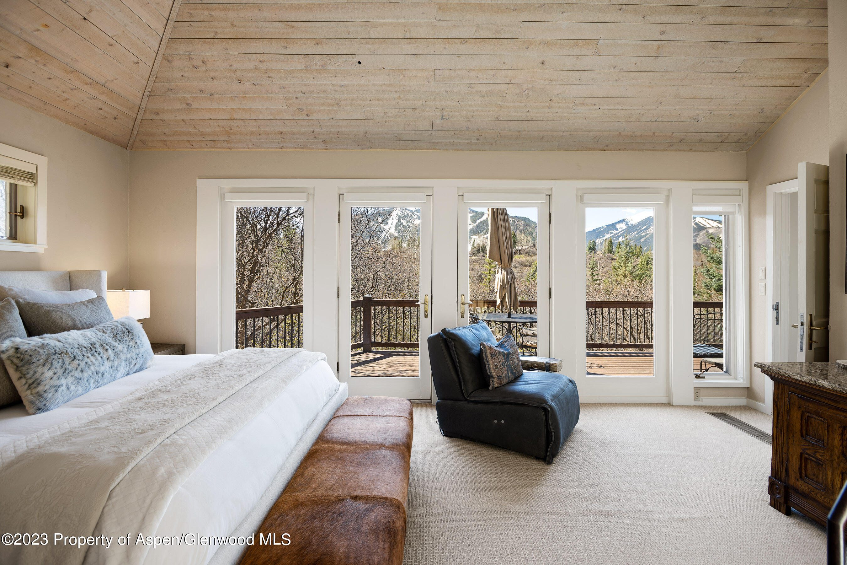 42 Nighthawk Drive Aspen CO 81611