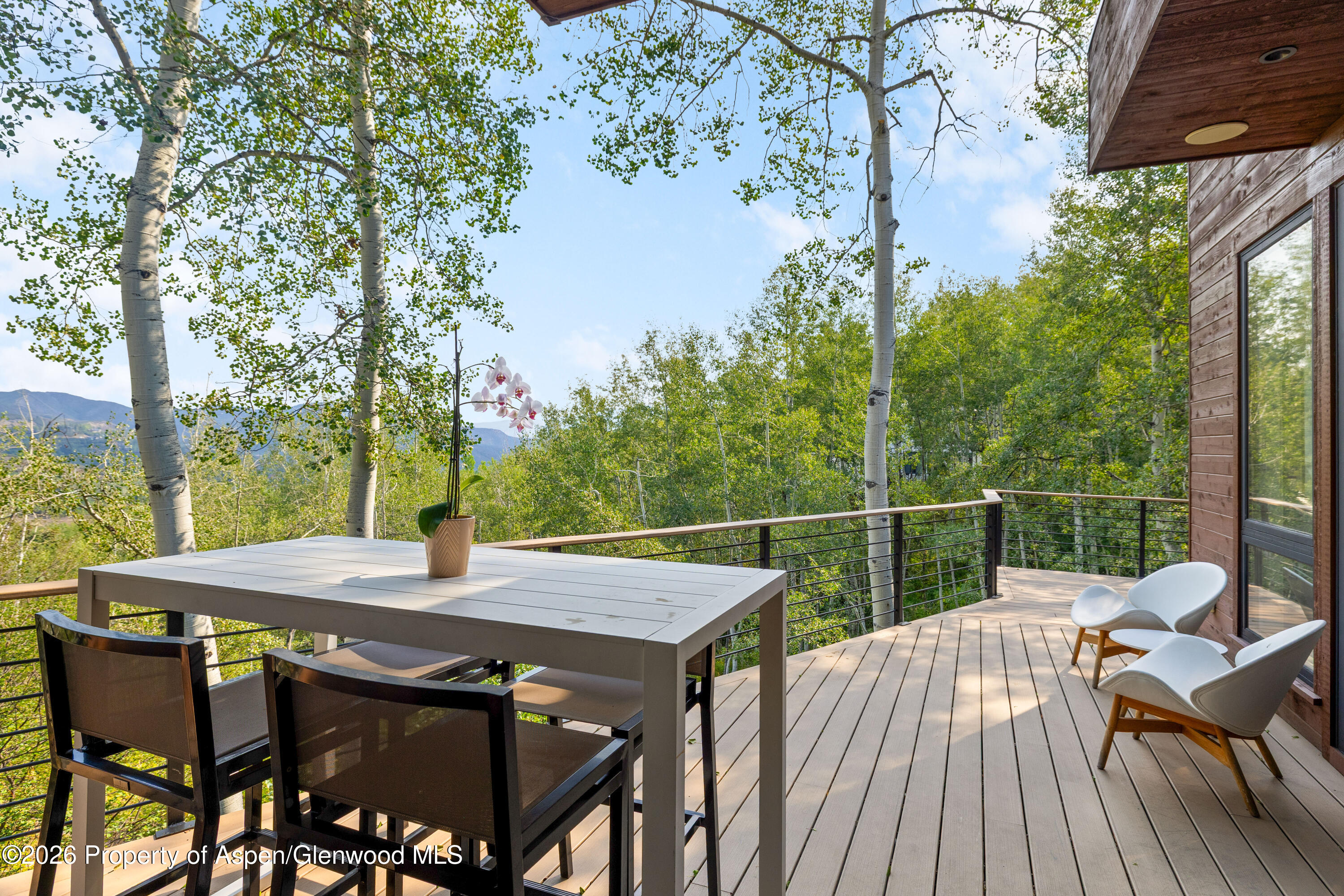 399 Maple Ridge Lane Snowmass Village CO 81615