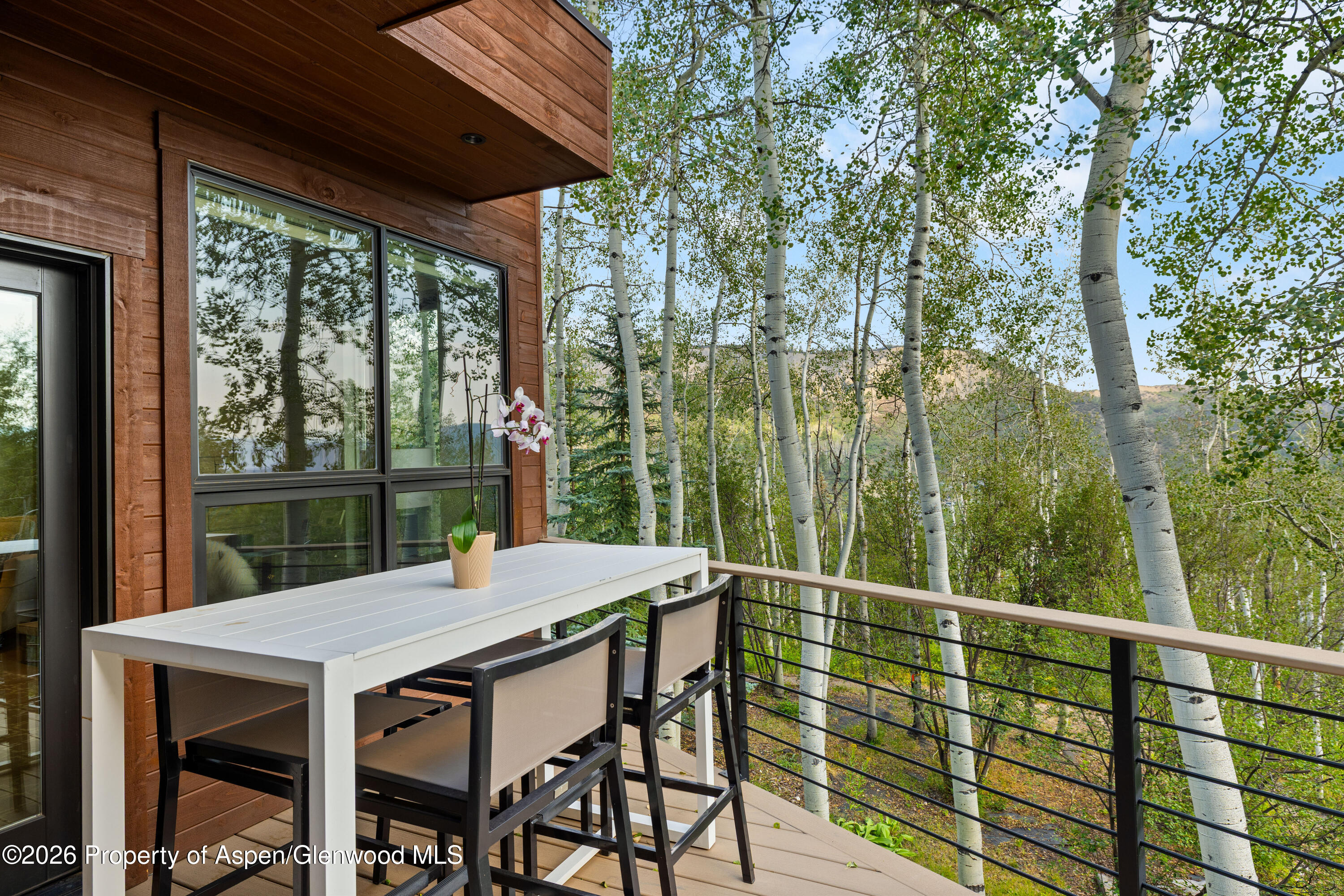 399 Maple Ridge Lane Snowmass Village CO 81615