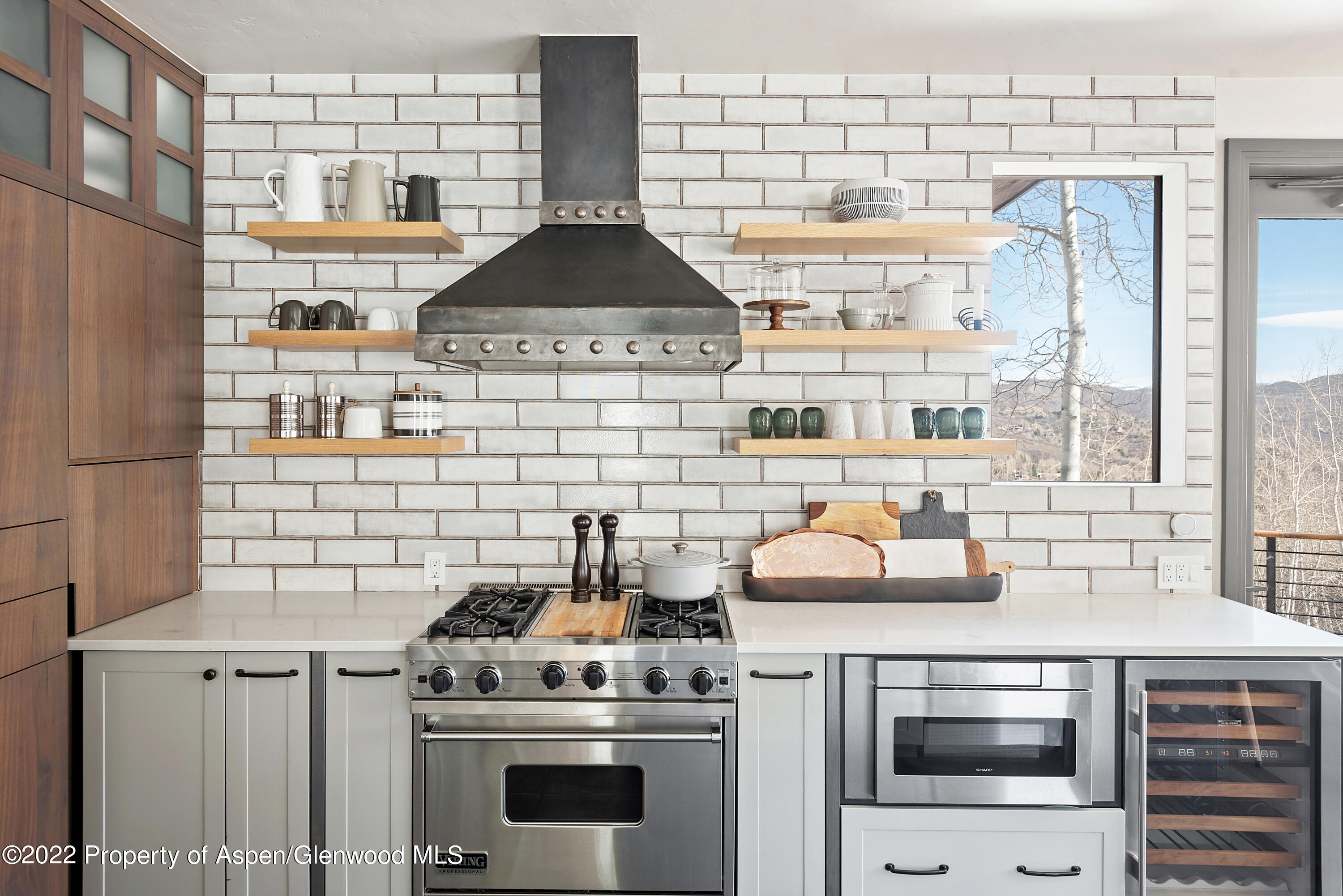 399 Maple Ridge Lane Snowmass Village CO 81615