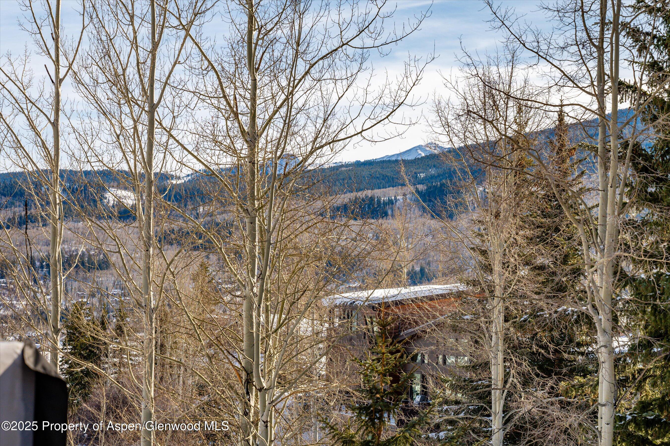 328 Oak Ridge Road Snowmass Village CO 81615