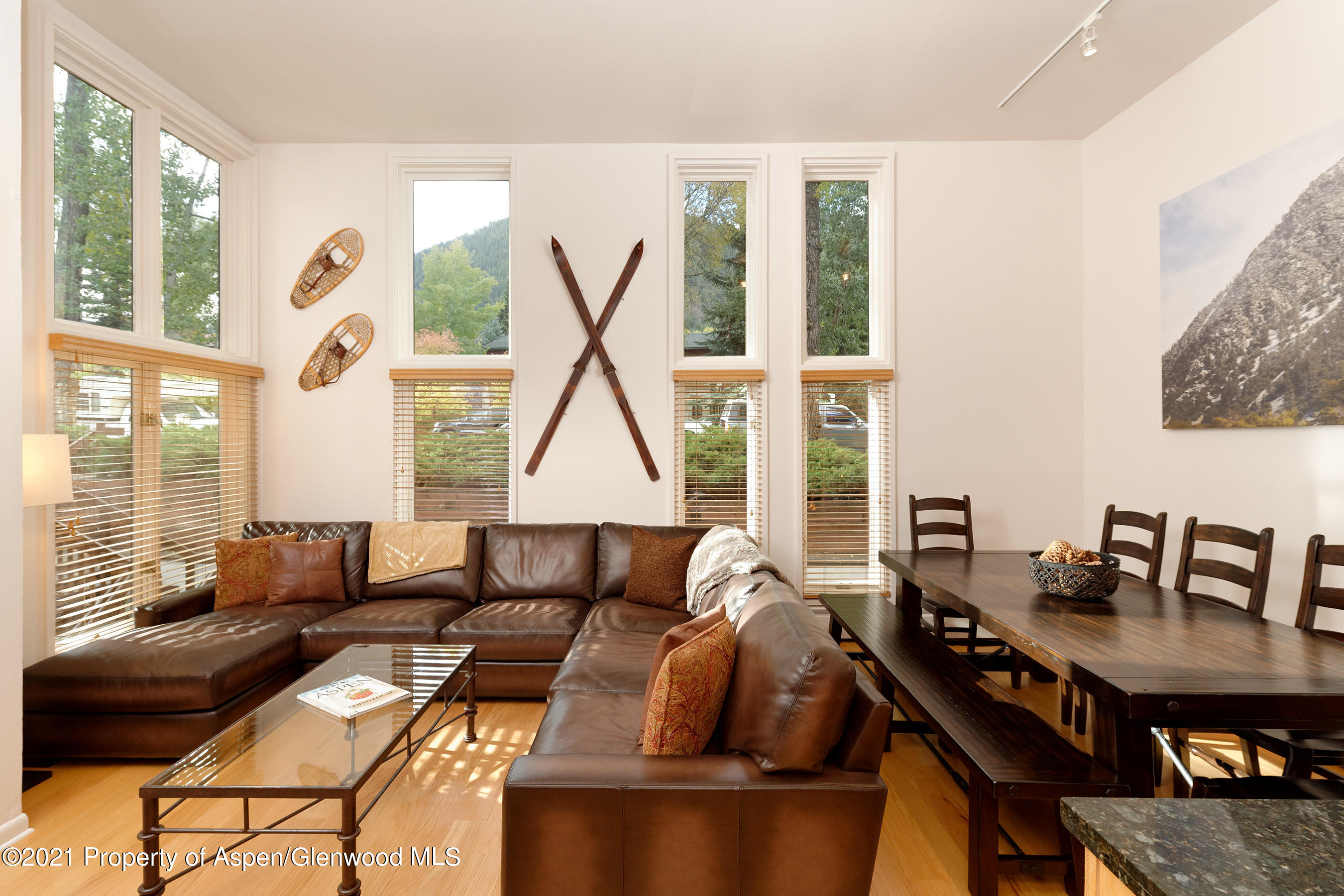 900 E Durant Avenue Aspen CO 81611