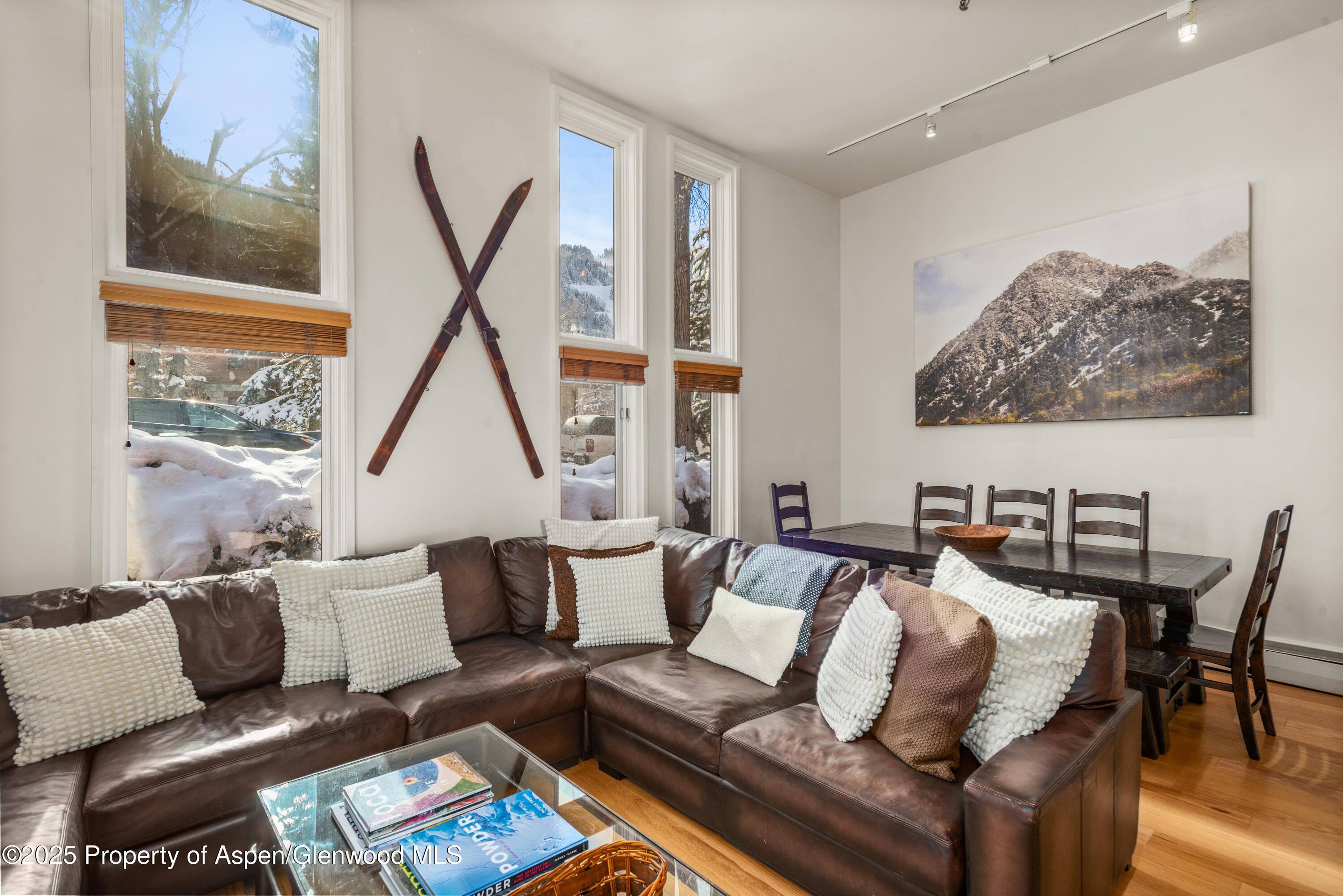 900 E Durant Avenue Aspen CO 81611