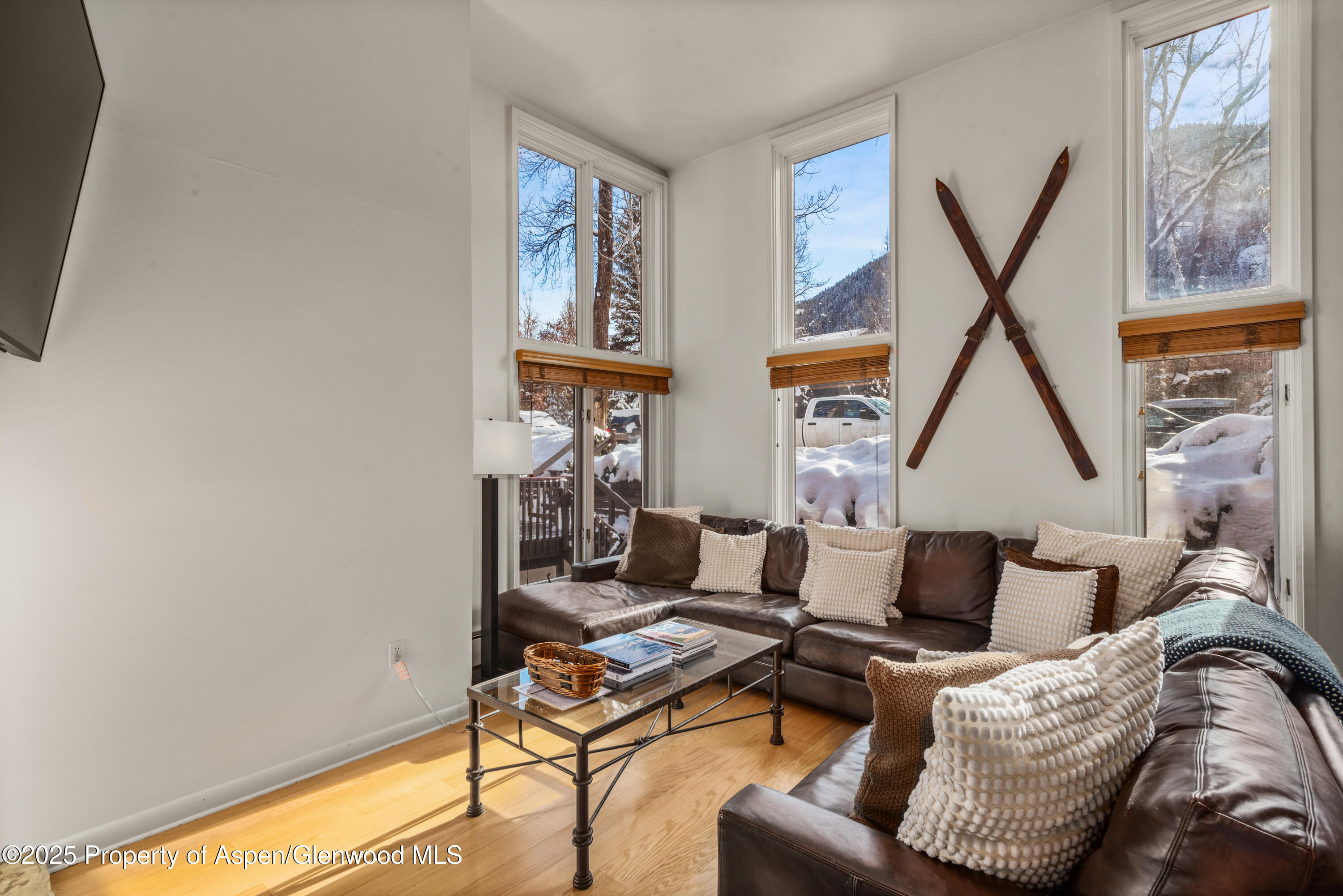 900 E Durant Avenue Aspen CO 81611