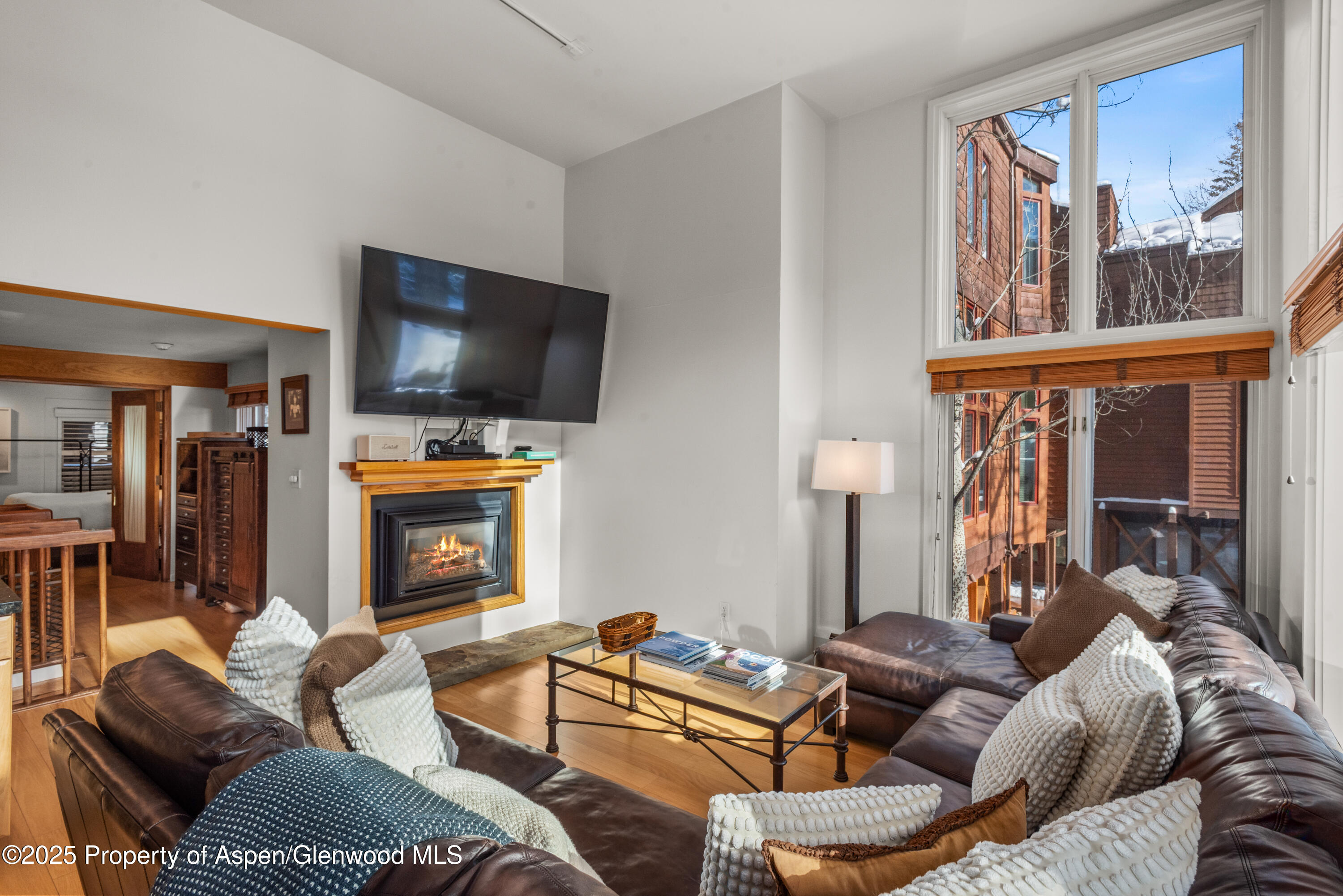 900 E Durant Avenue Aspen CO 81611