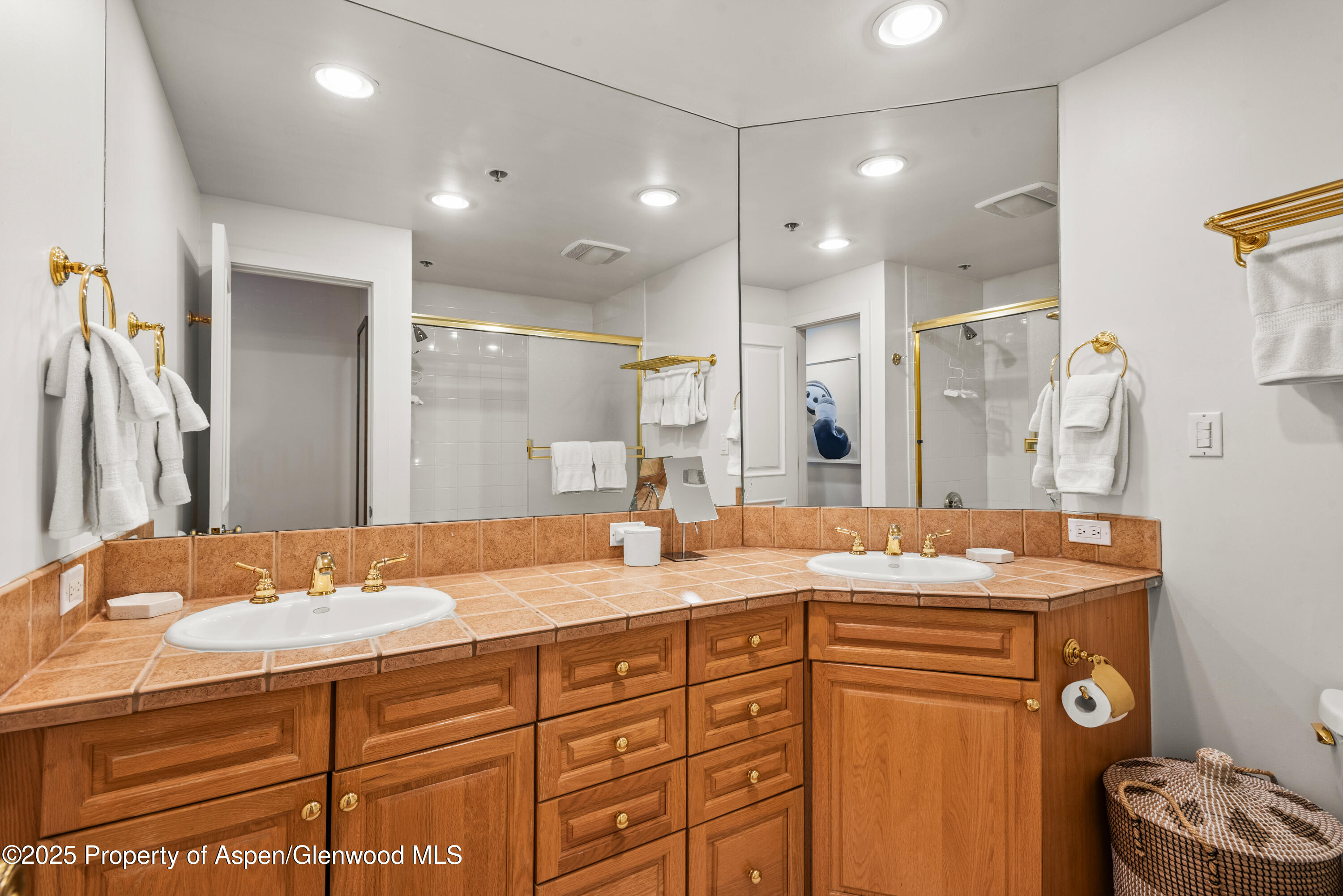 900 E Durant Avenue Aspen CO 81611