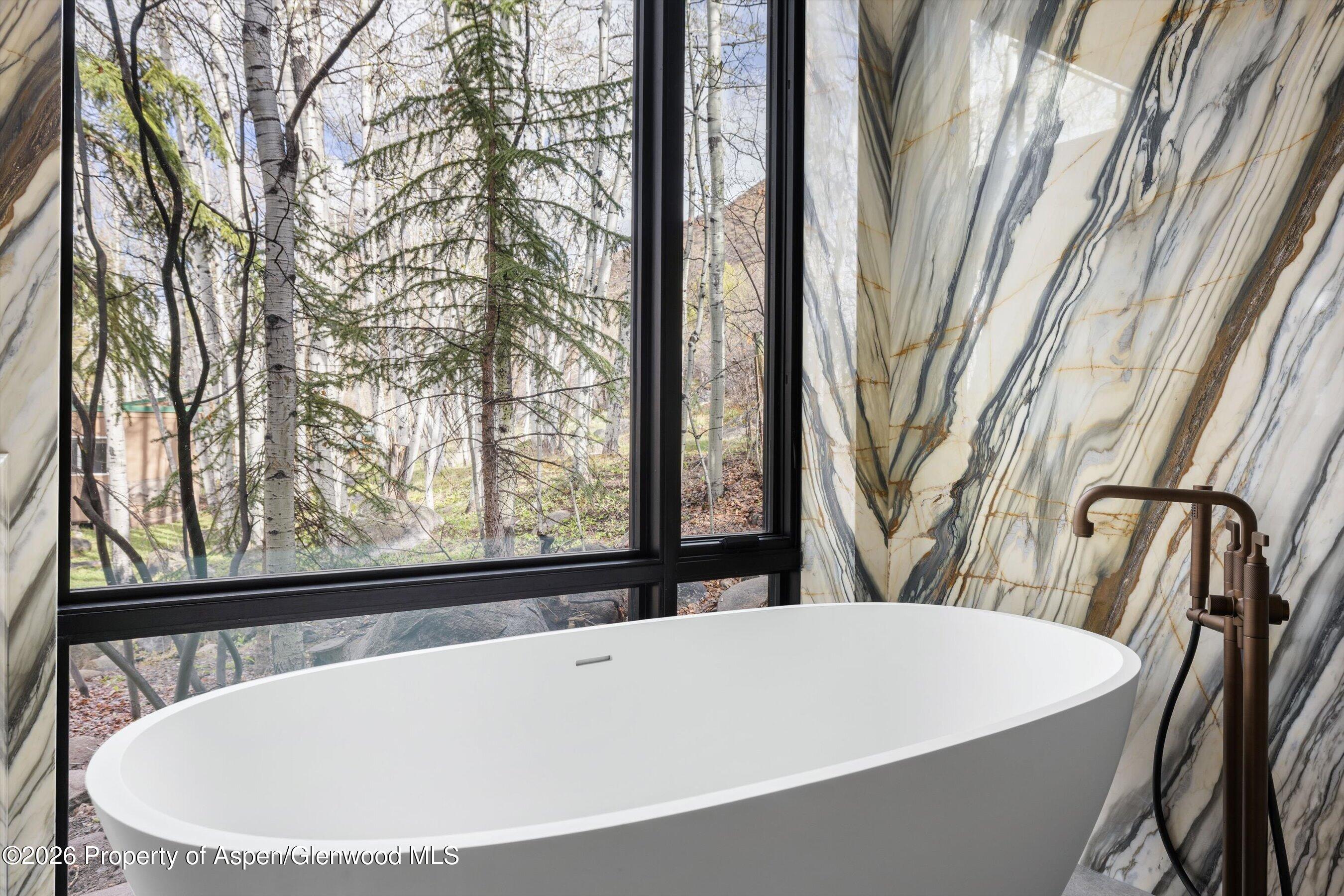 323 E Reds Road Aspen CO 81611