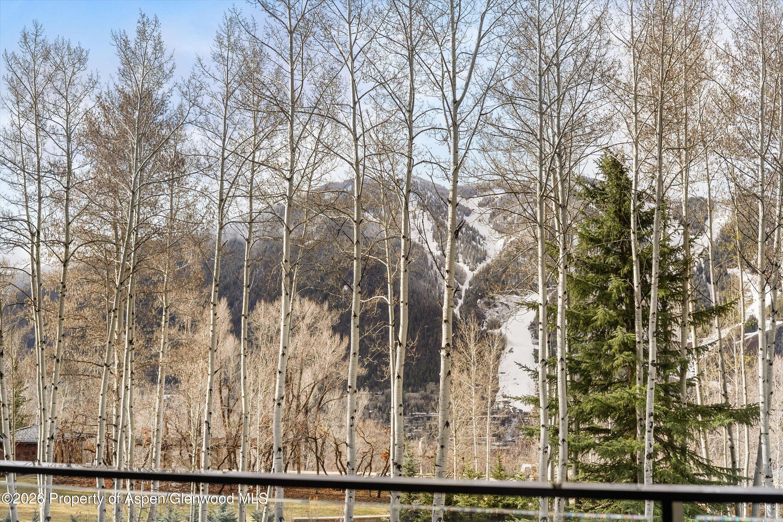 323 E Reds Road Aspen CO 81611