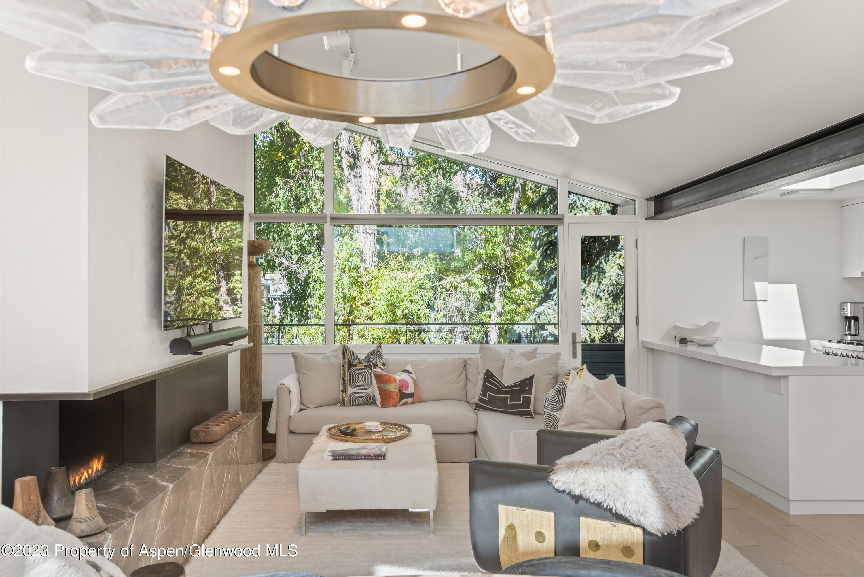 1001 E Cooper Avenue Aspen CO 81611