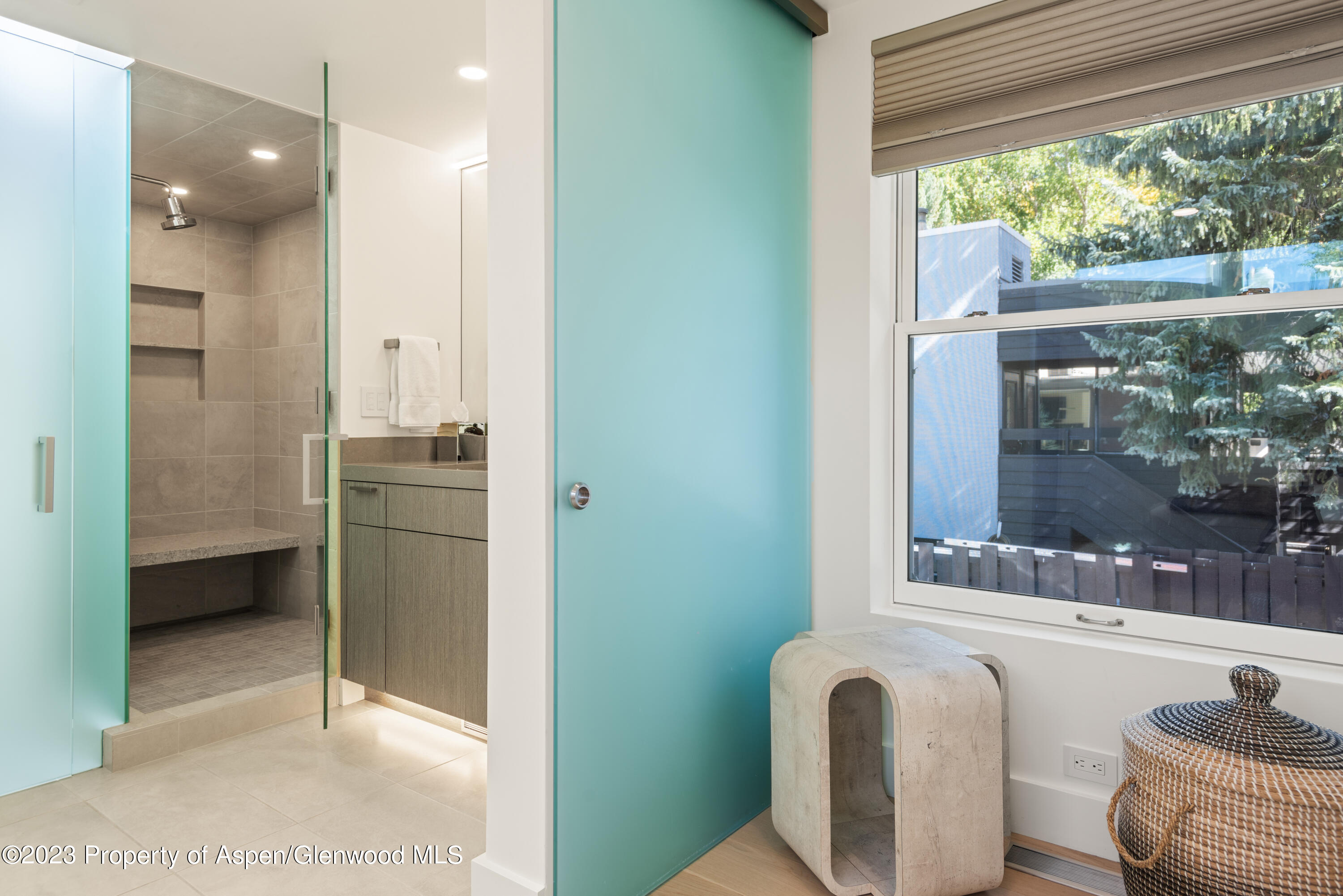 1001 E Cooper Avenue Aspen CO 81611