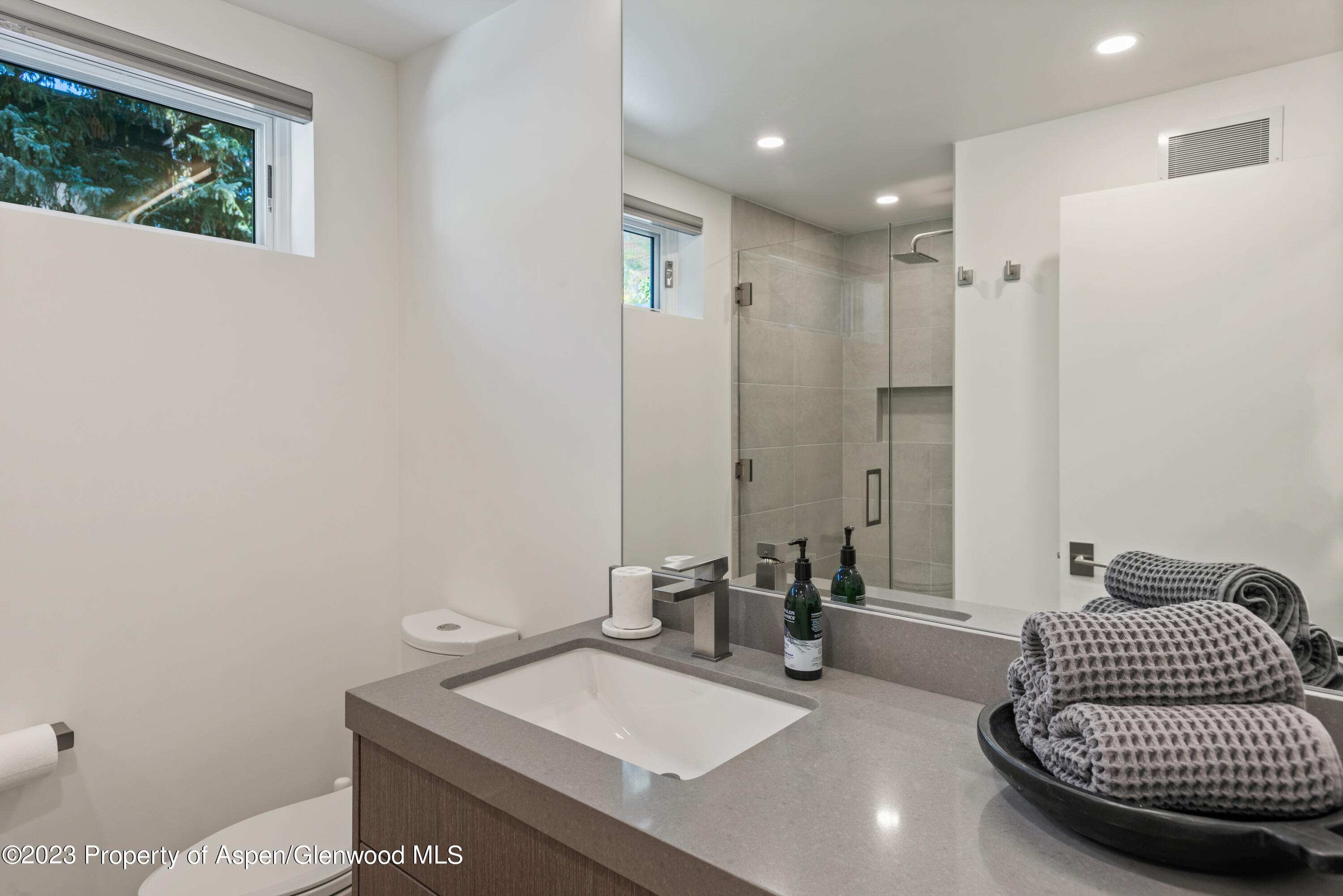 1001 E Cooper Avenue Aspen CO 81611