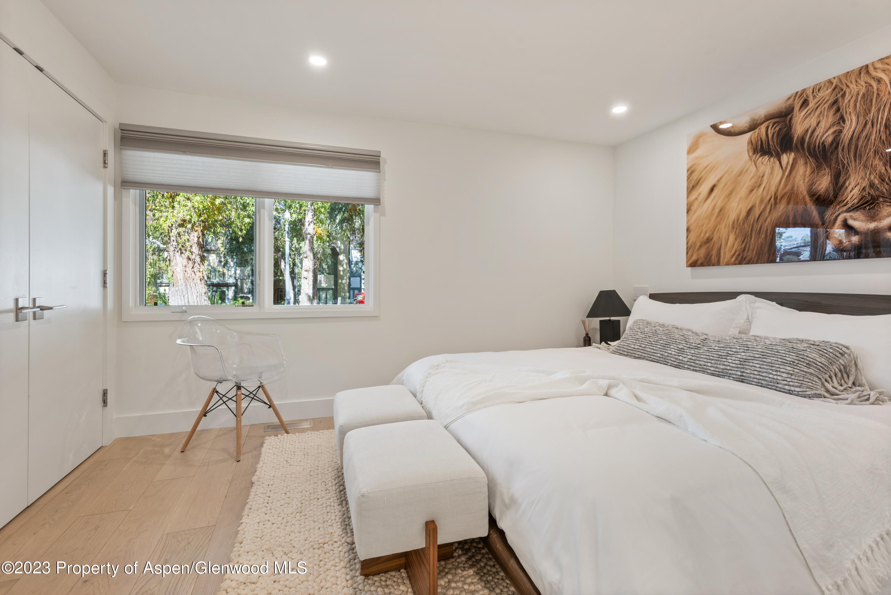 1001 E Cooper Avenue Aspen CO 81611