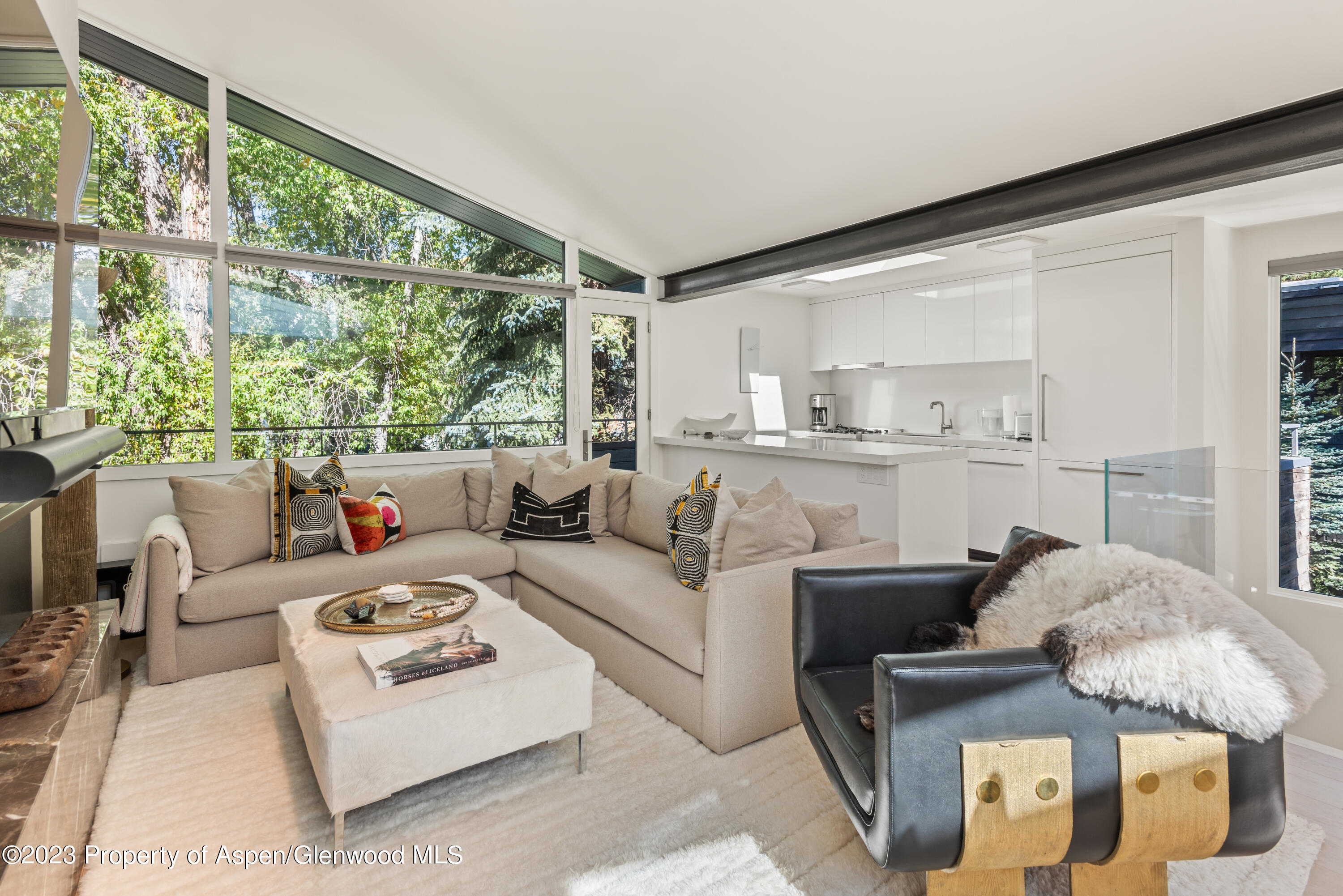 1001 E Cooper Avenue Aspen CO 81611