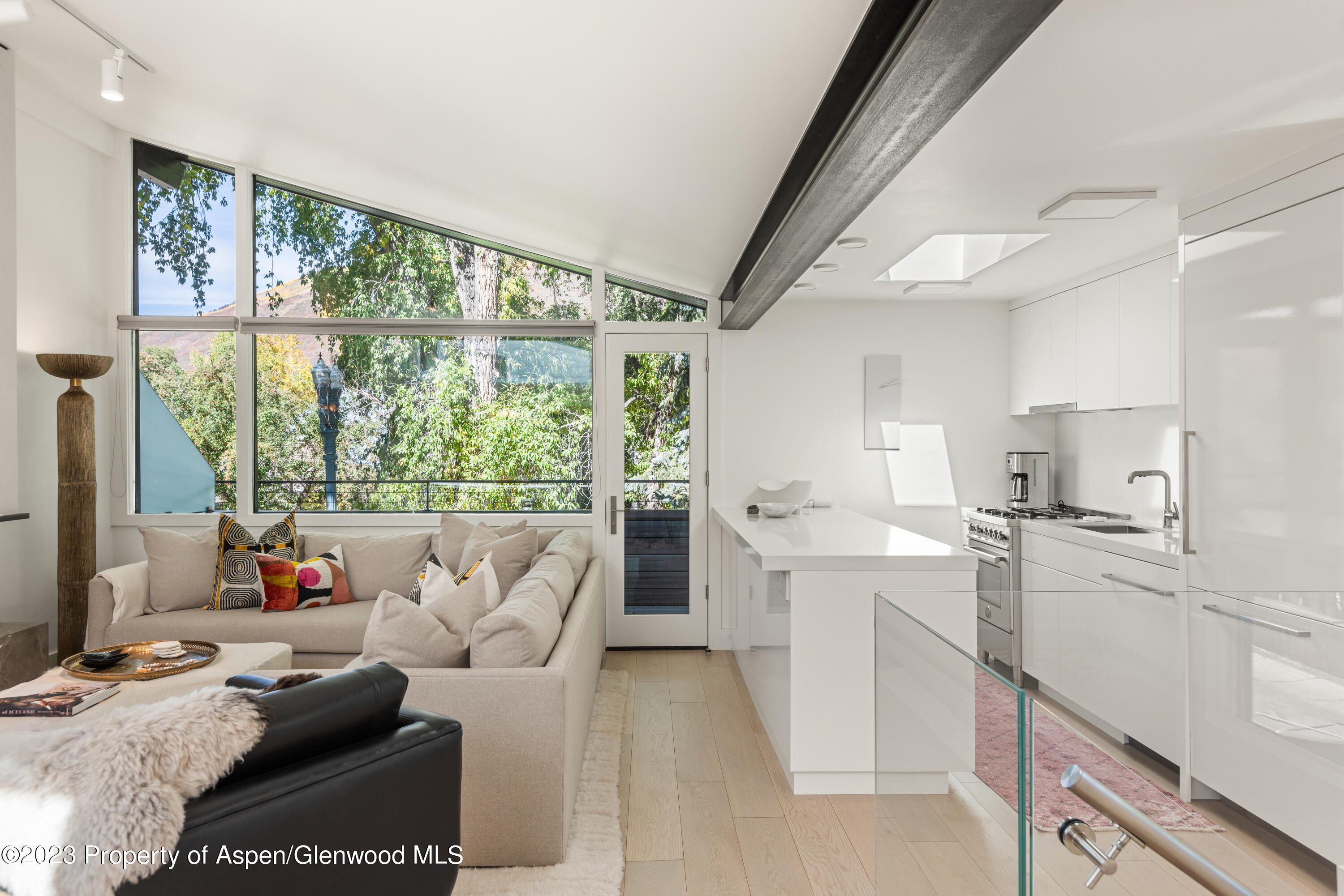 1001 E Cooper Avenue Aspen CO 81611