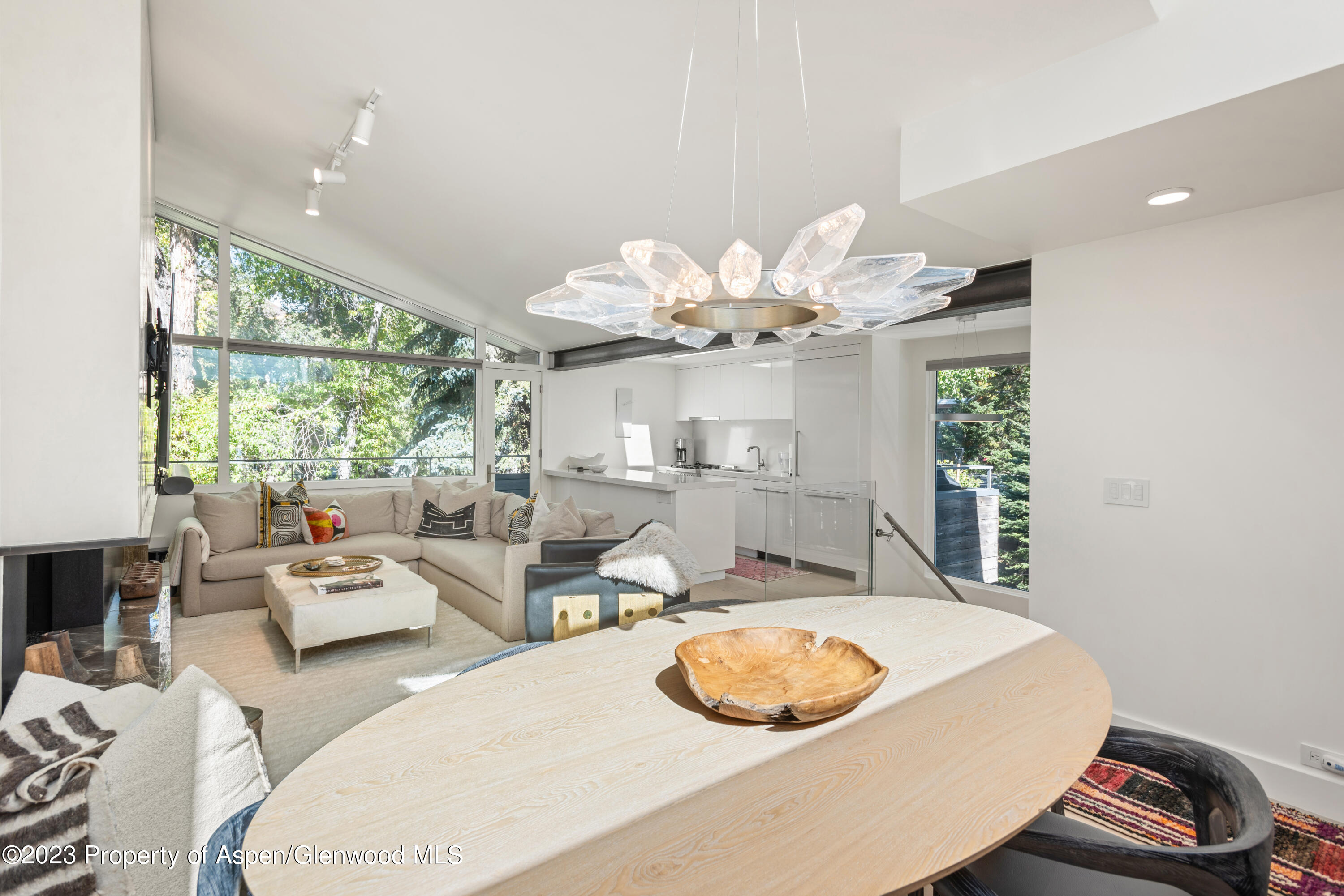 1001 E Cooper Avenue Aspen CO 81611