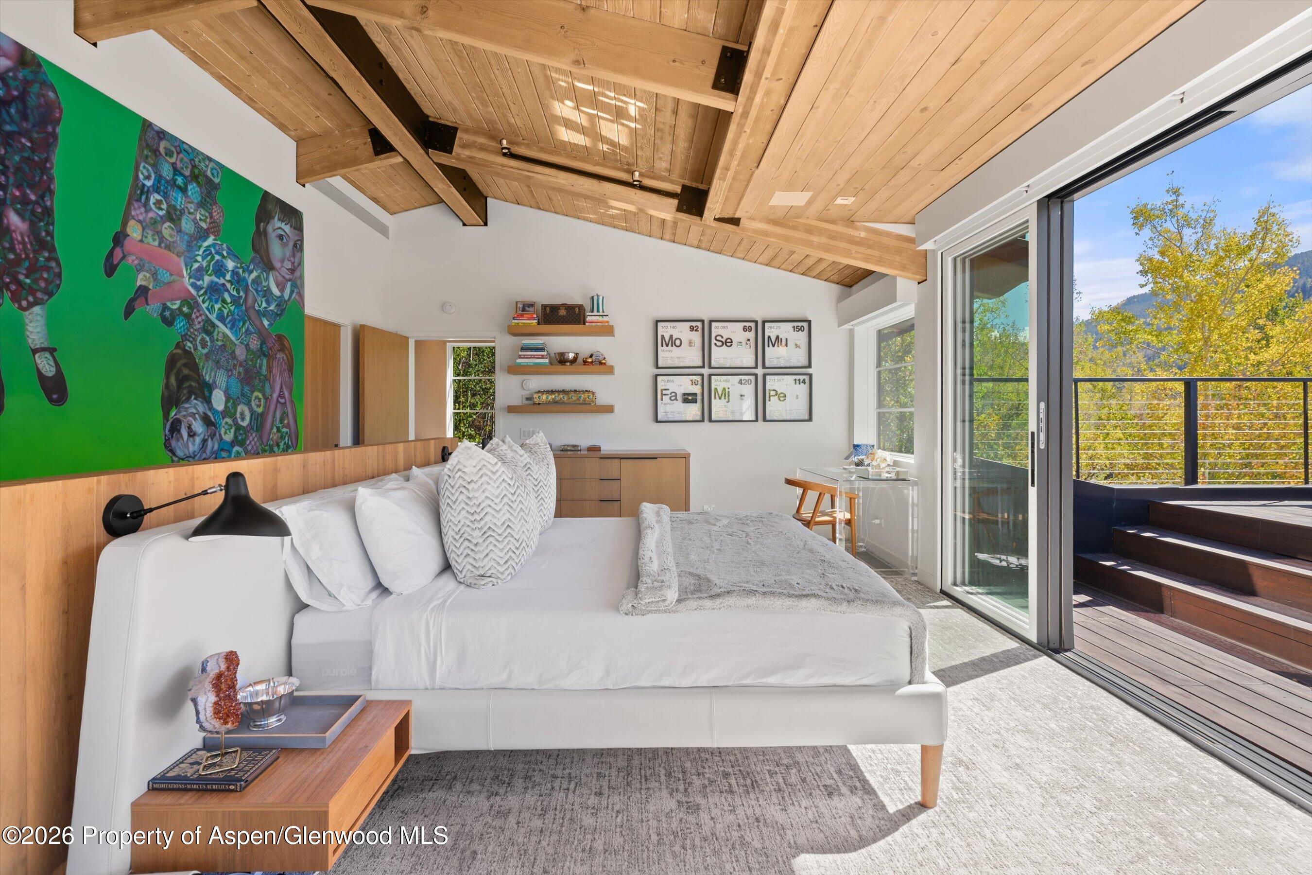 546 Mcskimming Road Aspen CO 81611
